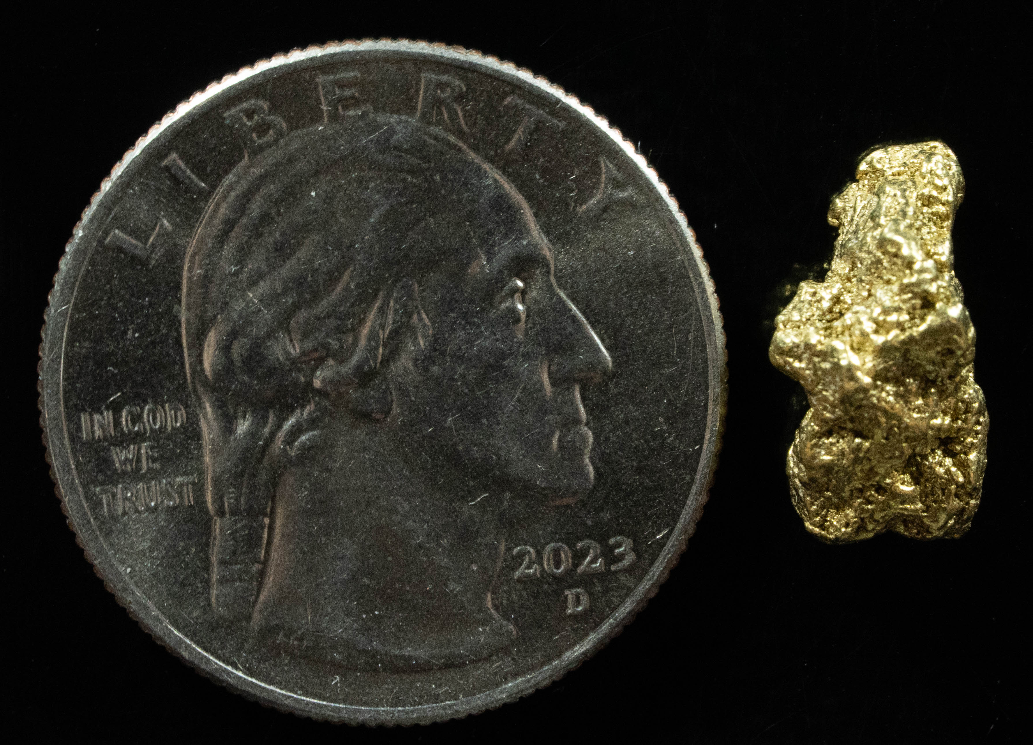 #188 Alaskan BC Natural Gold Nugget 3.03 Grams Genuine