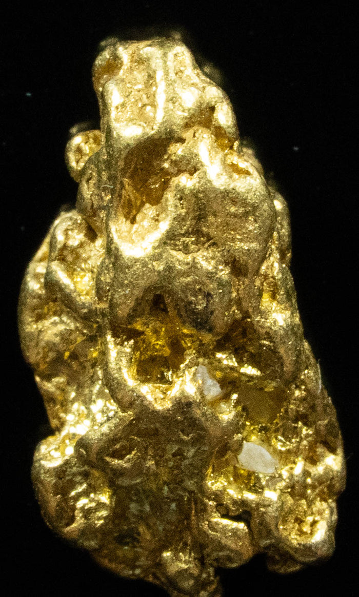 #194 Alaskan BC Natural Gold Nugget 2.45 Grams Genuine