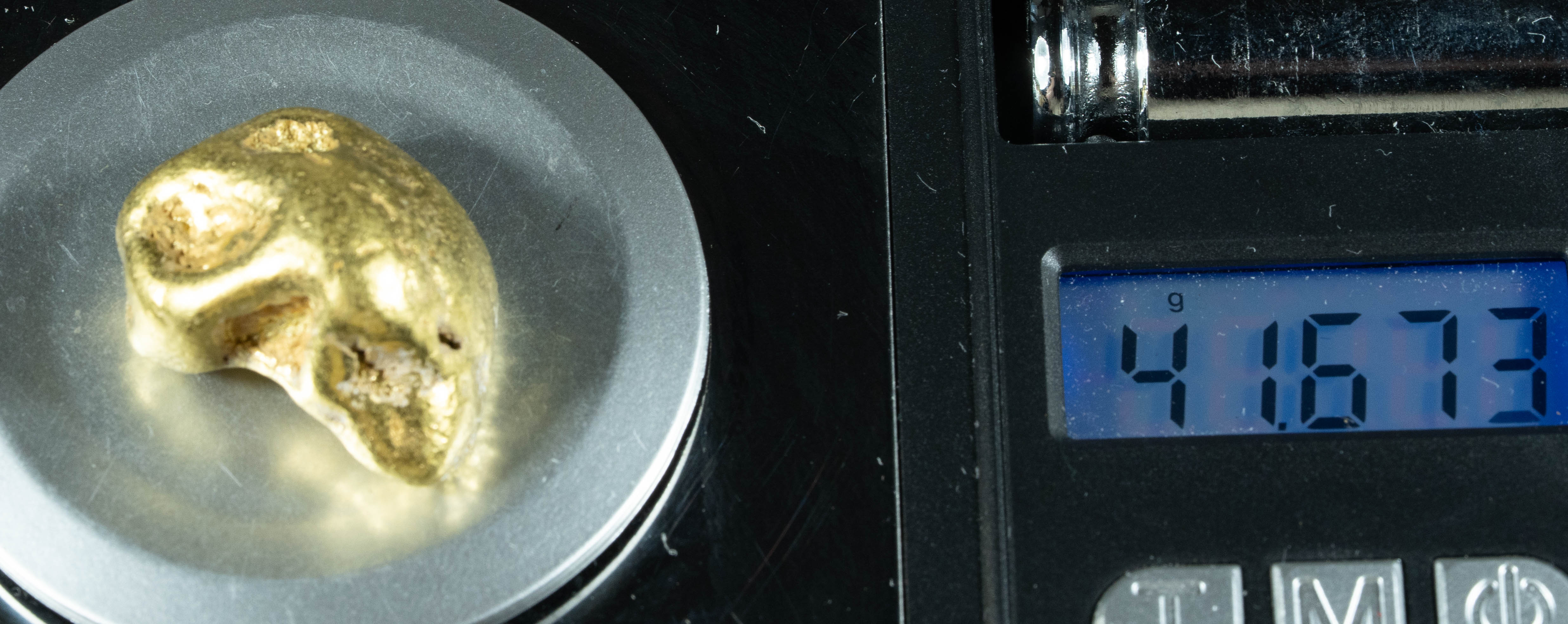 #549 Large Alaskan BC Gold Nugget 41.67 Grams Genuine