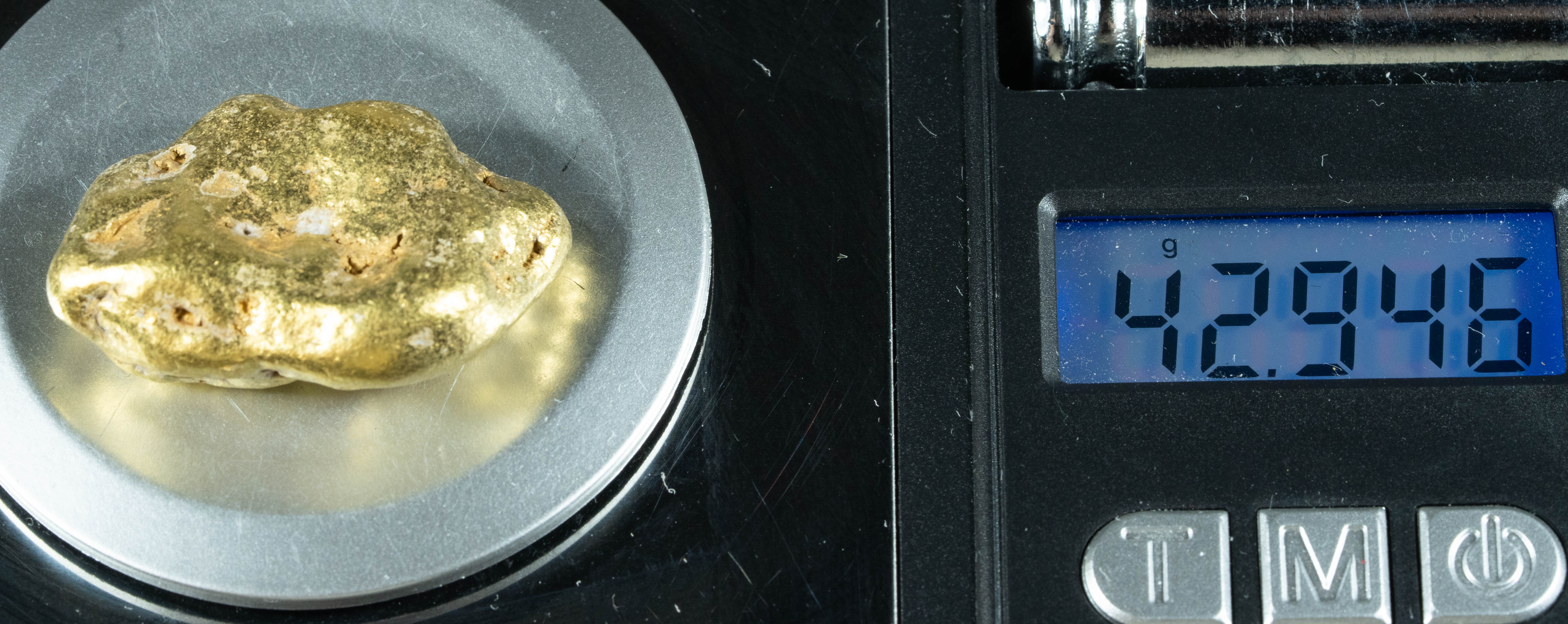 #553 Large Alaskan BC Gold Nugget 42.94 Grams Genuine