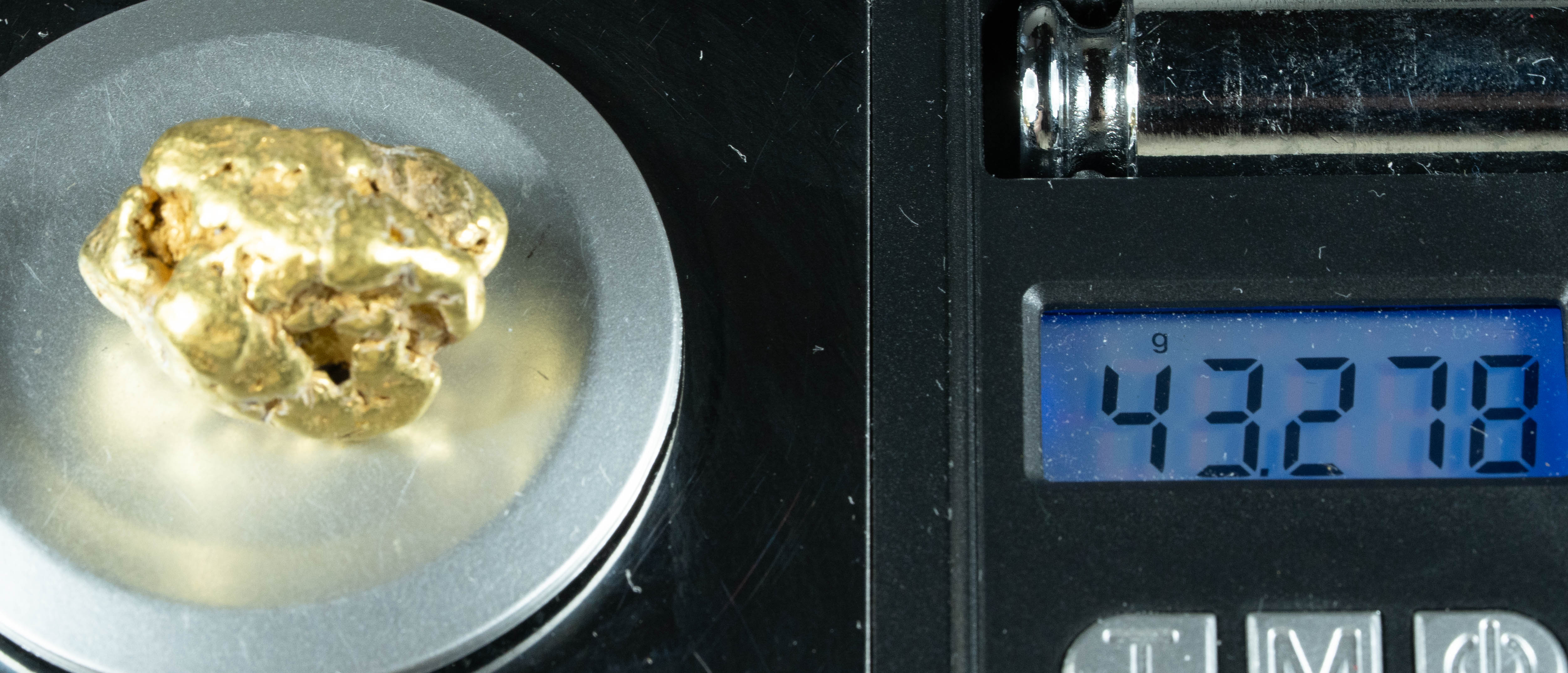 #554 Large Alaskan BC Gold Nugget 43.27 Grams Genuine