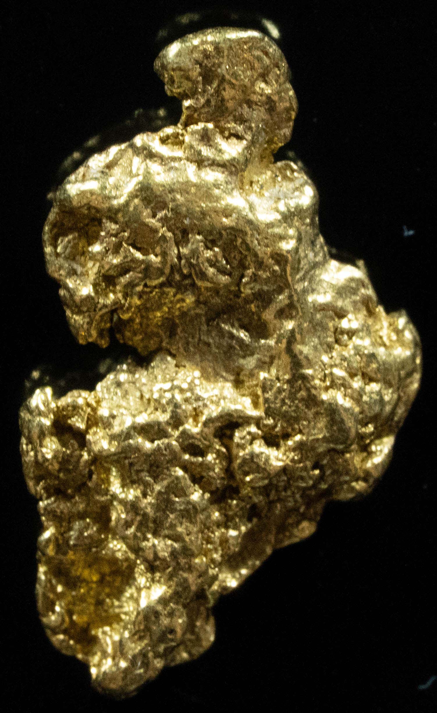 #214 Alaskan BC Natural Gold Nugget 3.01 Grams Genuine