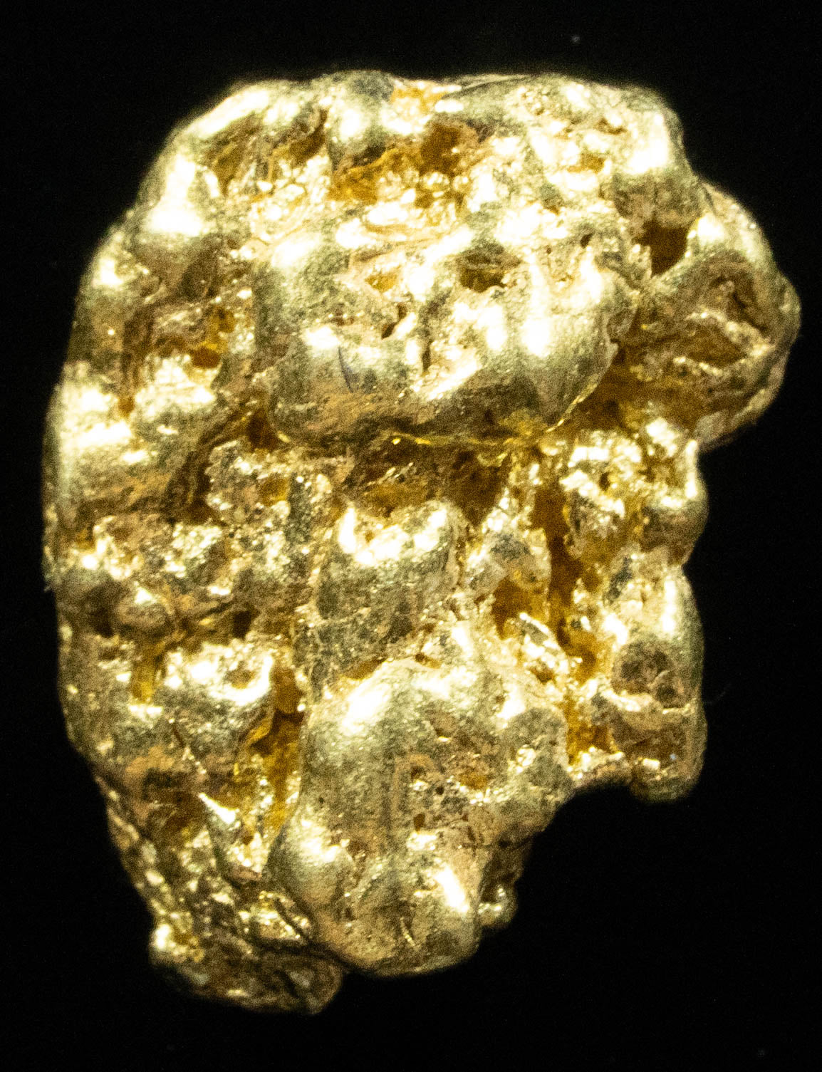 #217 Alaskan BC Natural Gold Nugget 2.48 Grams Genuine