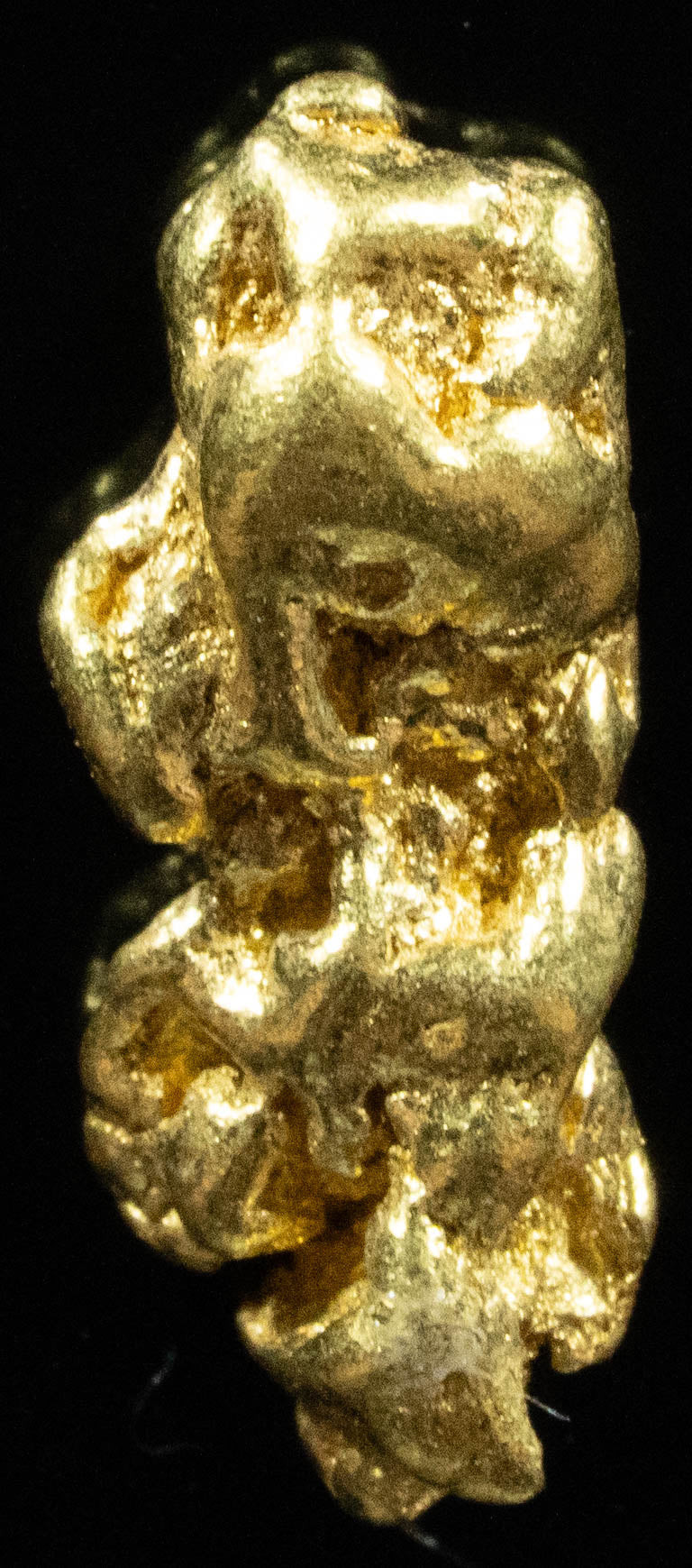 #223 Alaskan BC Natural Gold Nugget 2.32 Grams Genuine