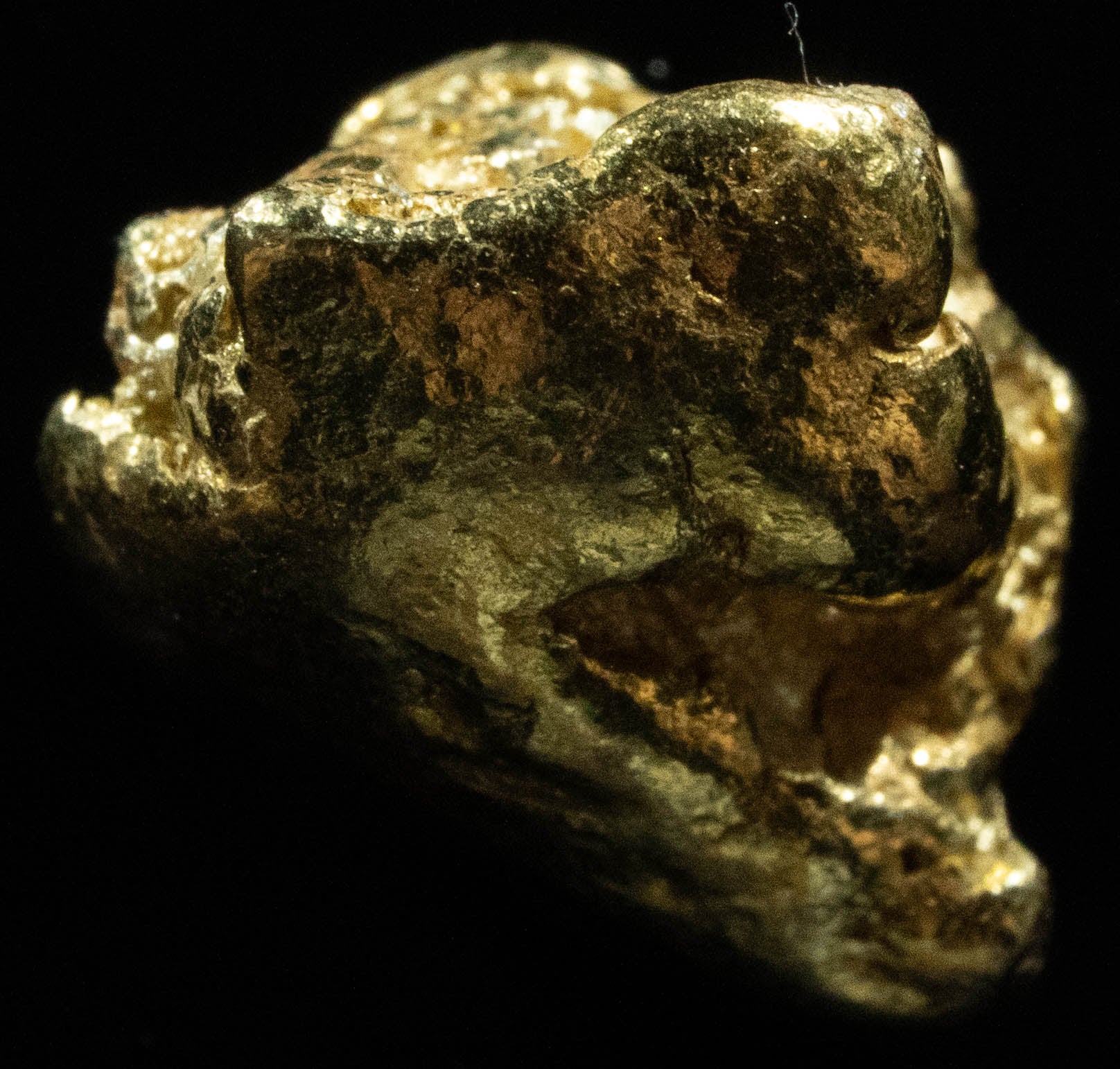 #231 Alaskan BC Natural Gold Nugget 3.59 Grams Genuine