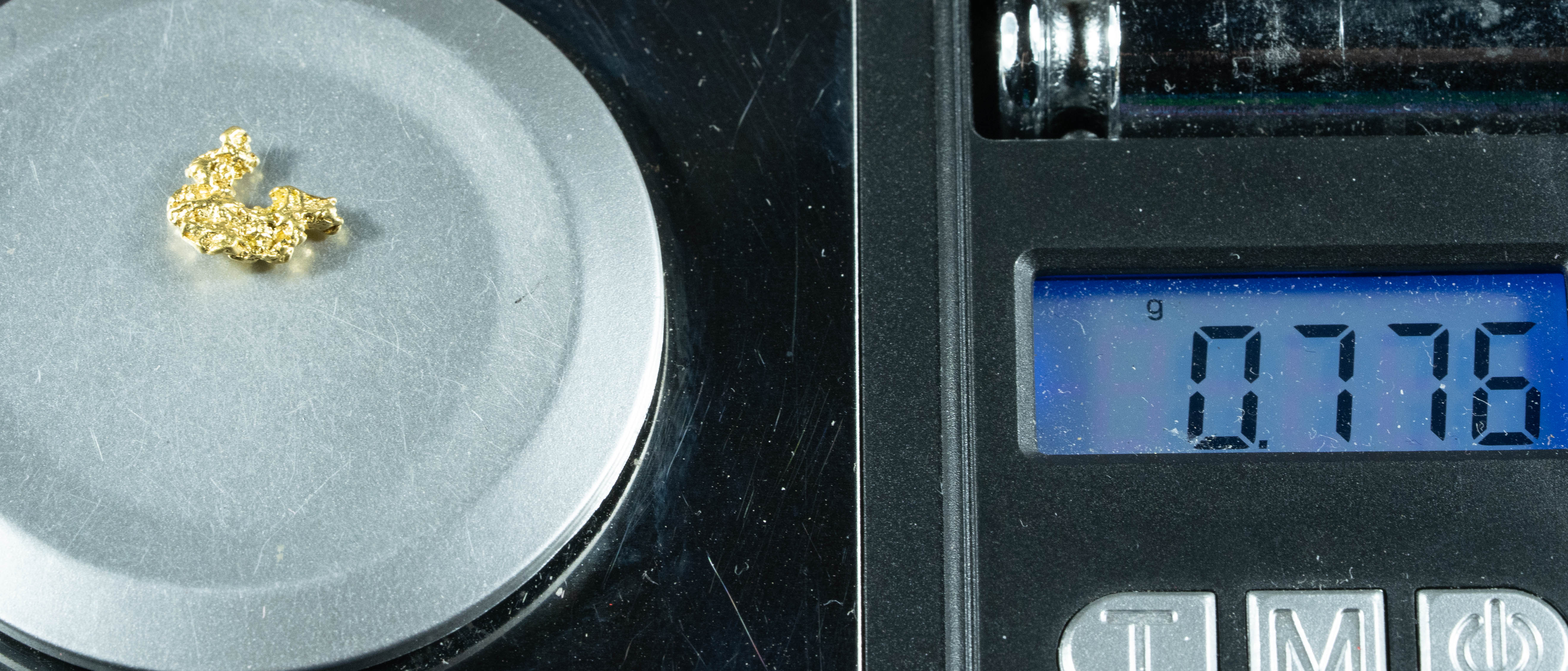 #10 Alaskan BC Natural Gold Nugget .77 Grams Genuine