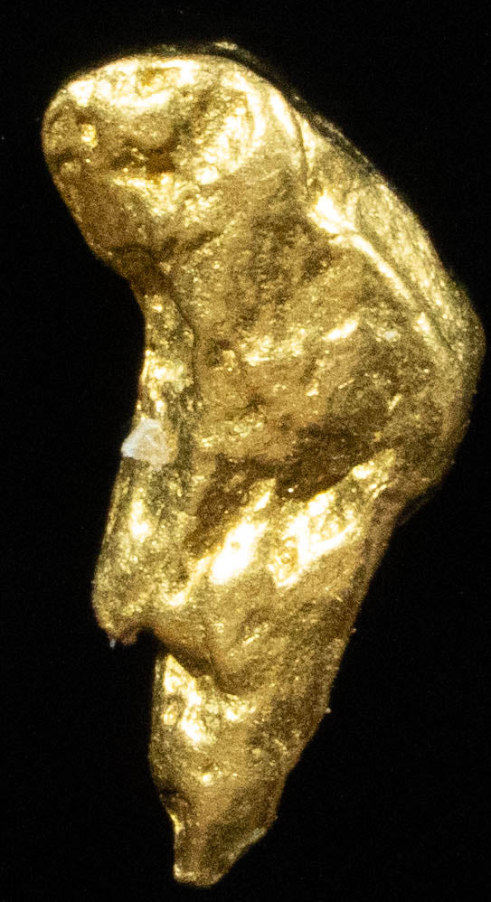 #725 Natural Gold Nugget Australian .480 Grams Genuine