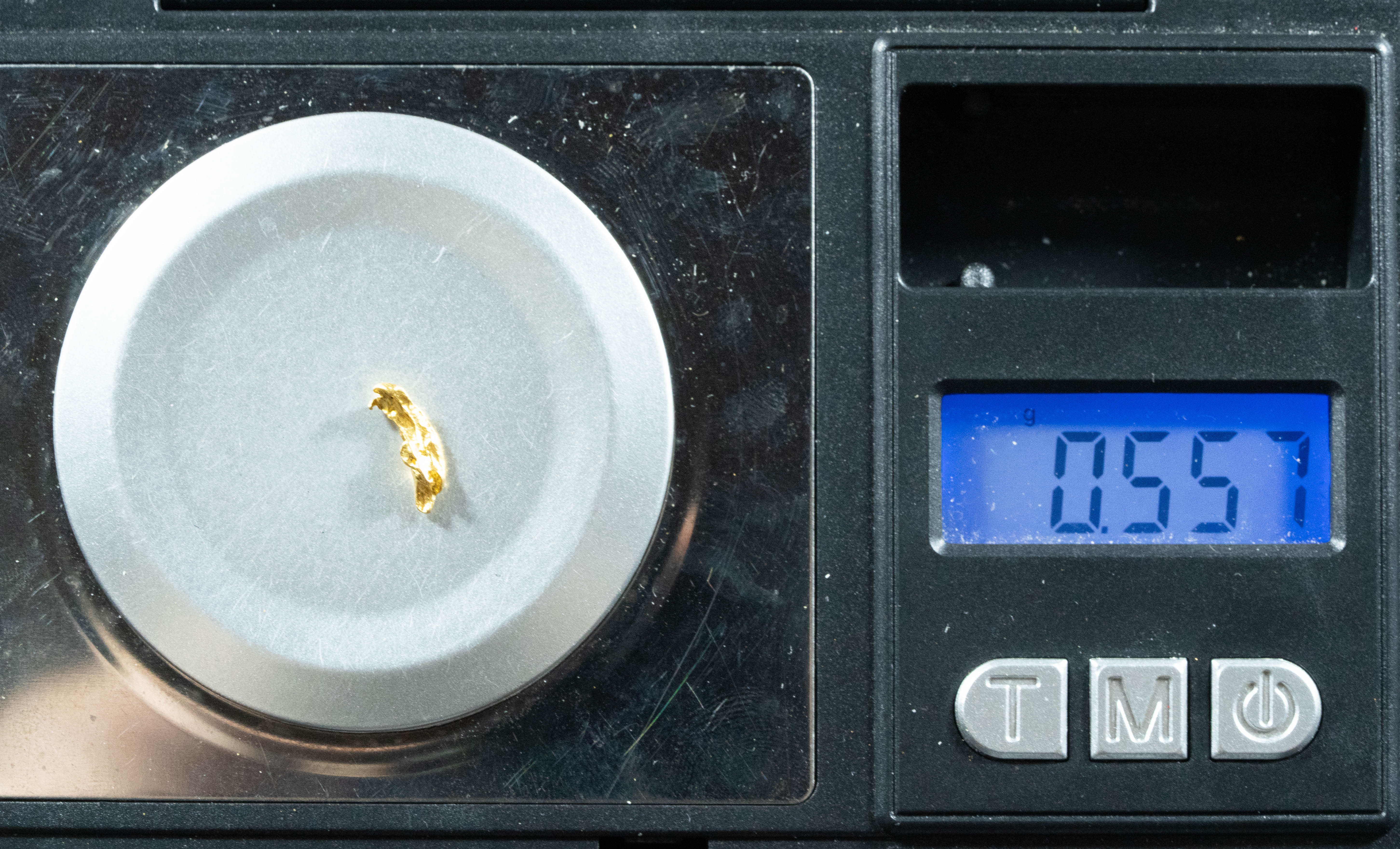 #727 Natural Gold Nugget Australian .557 Grams Genuine