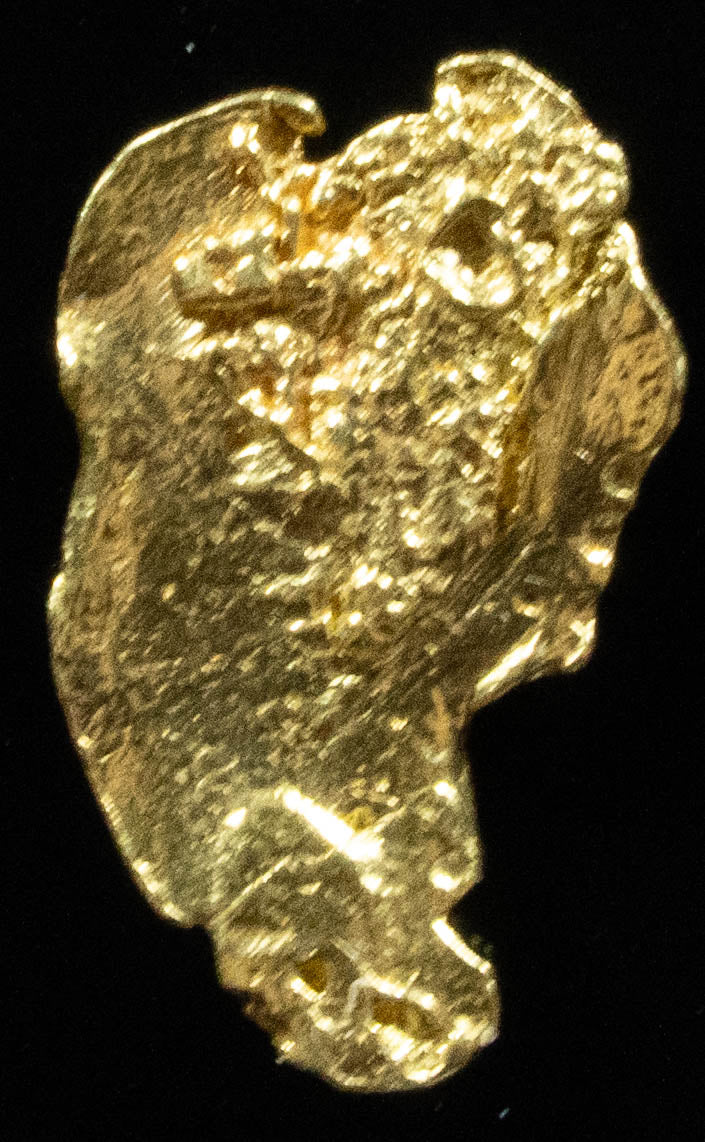 #732 Natural Gold Nugget Australian .359 Grams Genuine