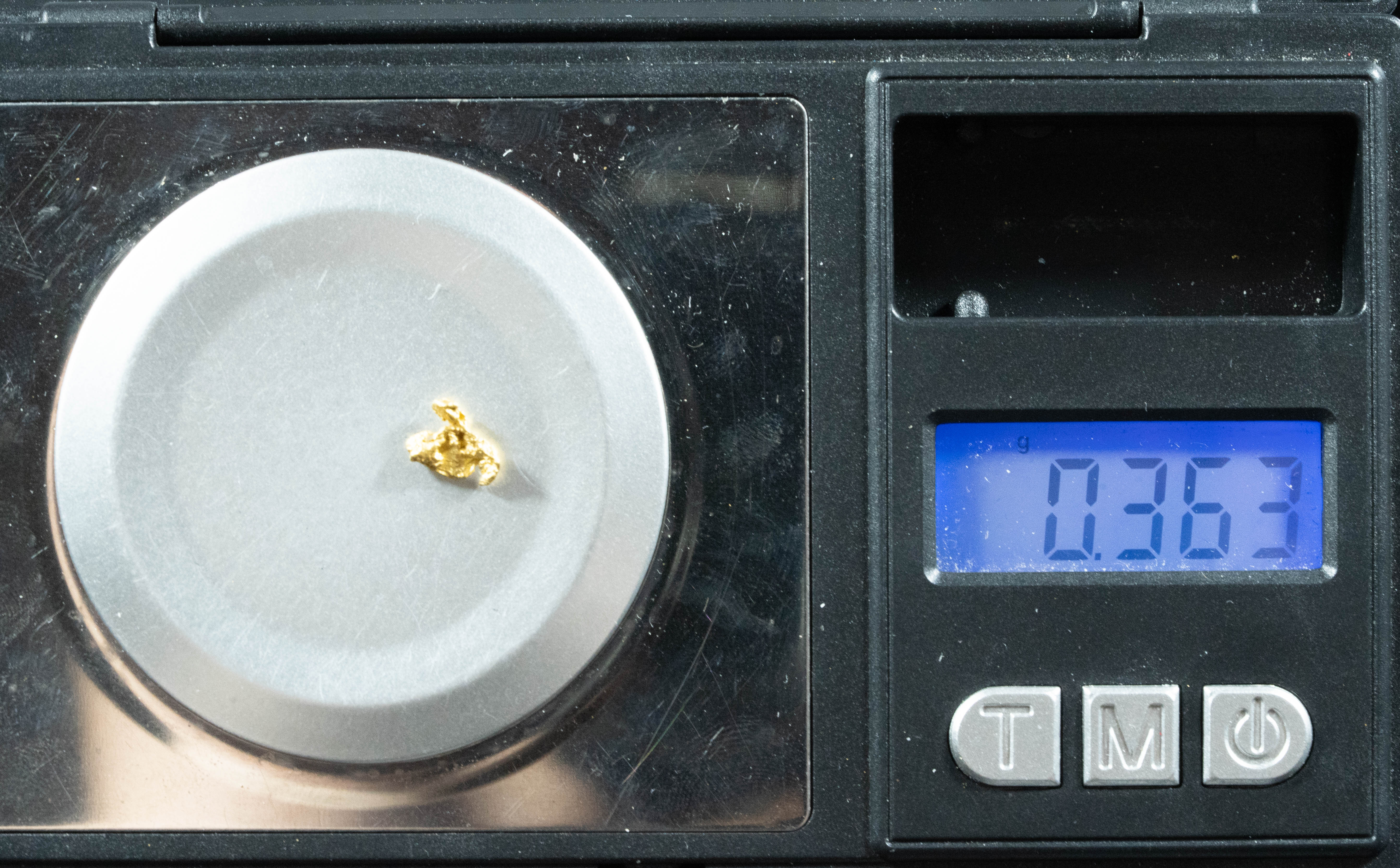 #738 Natural Gold Nugget Australian .363 Grams Genuine