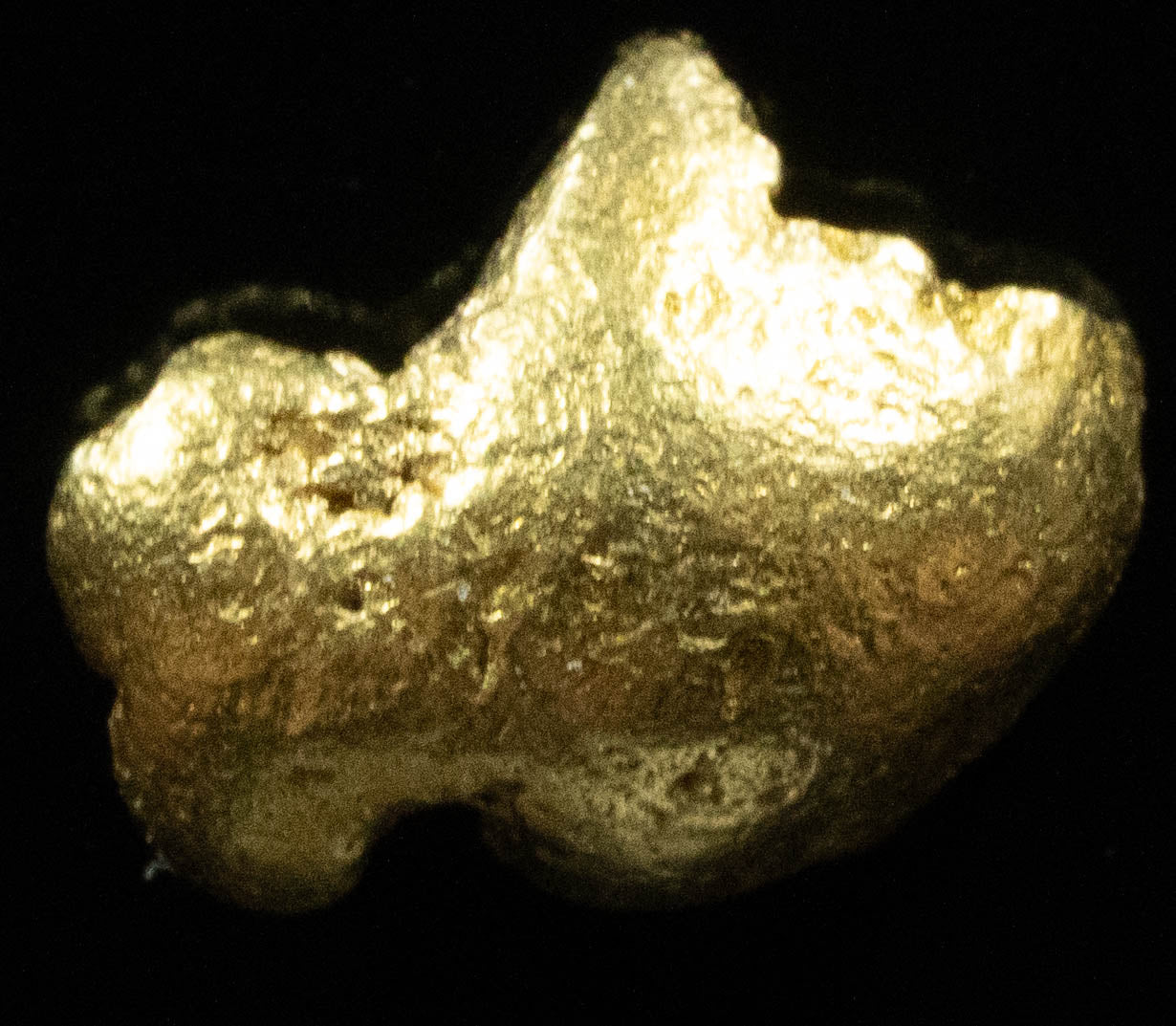 #760 Natural Gold Nugget Australian .654 Grams Genuine