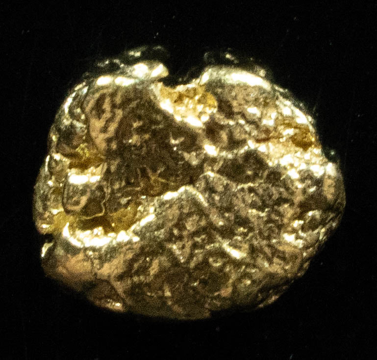 #9 Alaskan BC Natural Gold Nugget .745 Grams Genuine