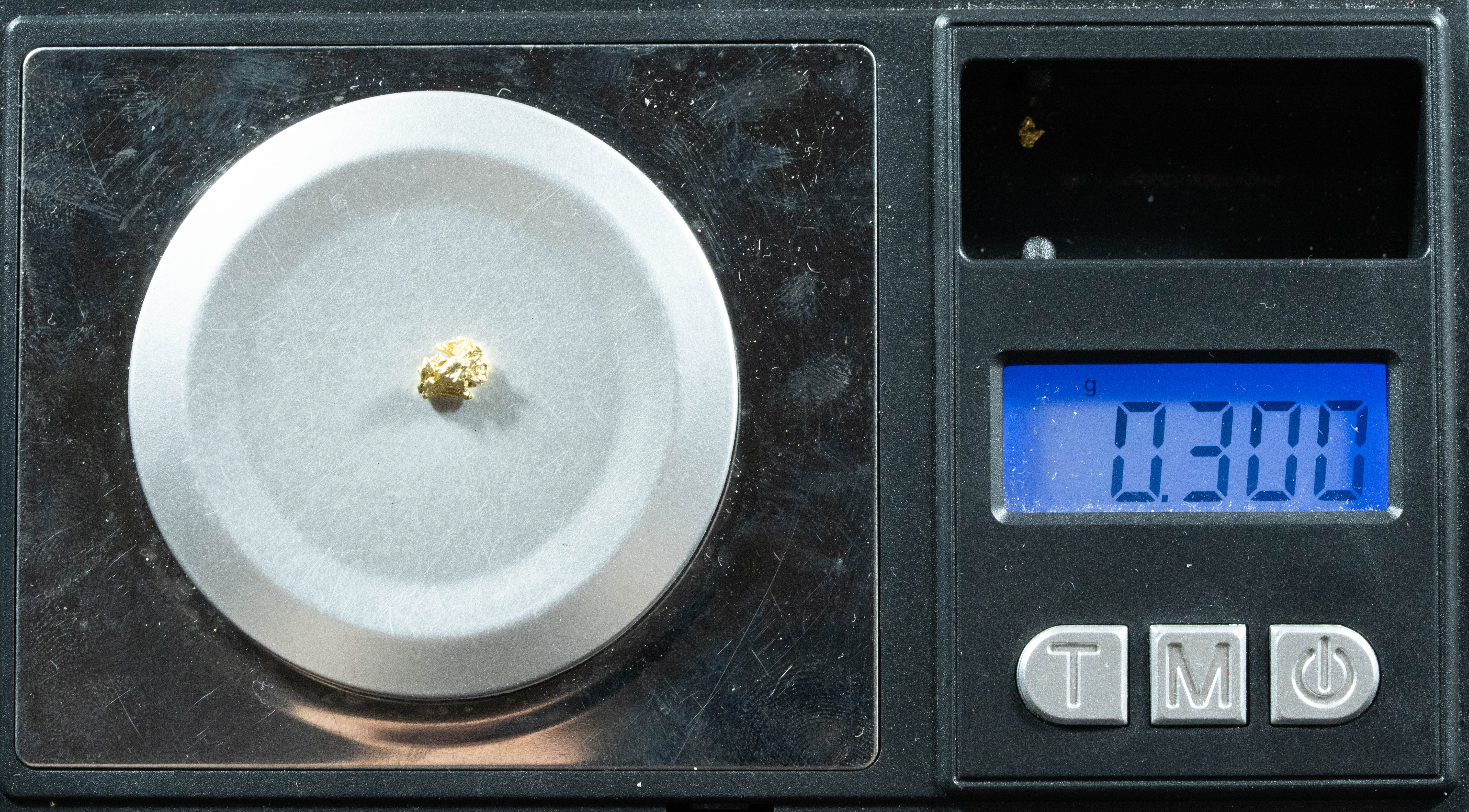 #12 Alaskan BC Natural Gold Nugget .30 Grams Genuine