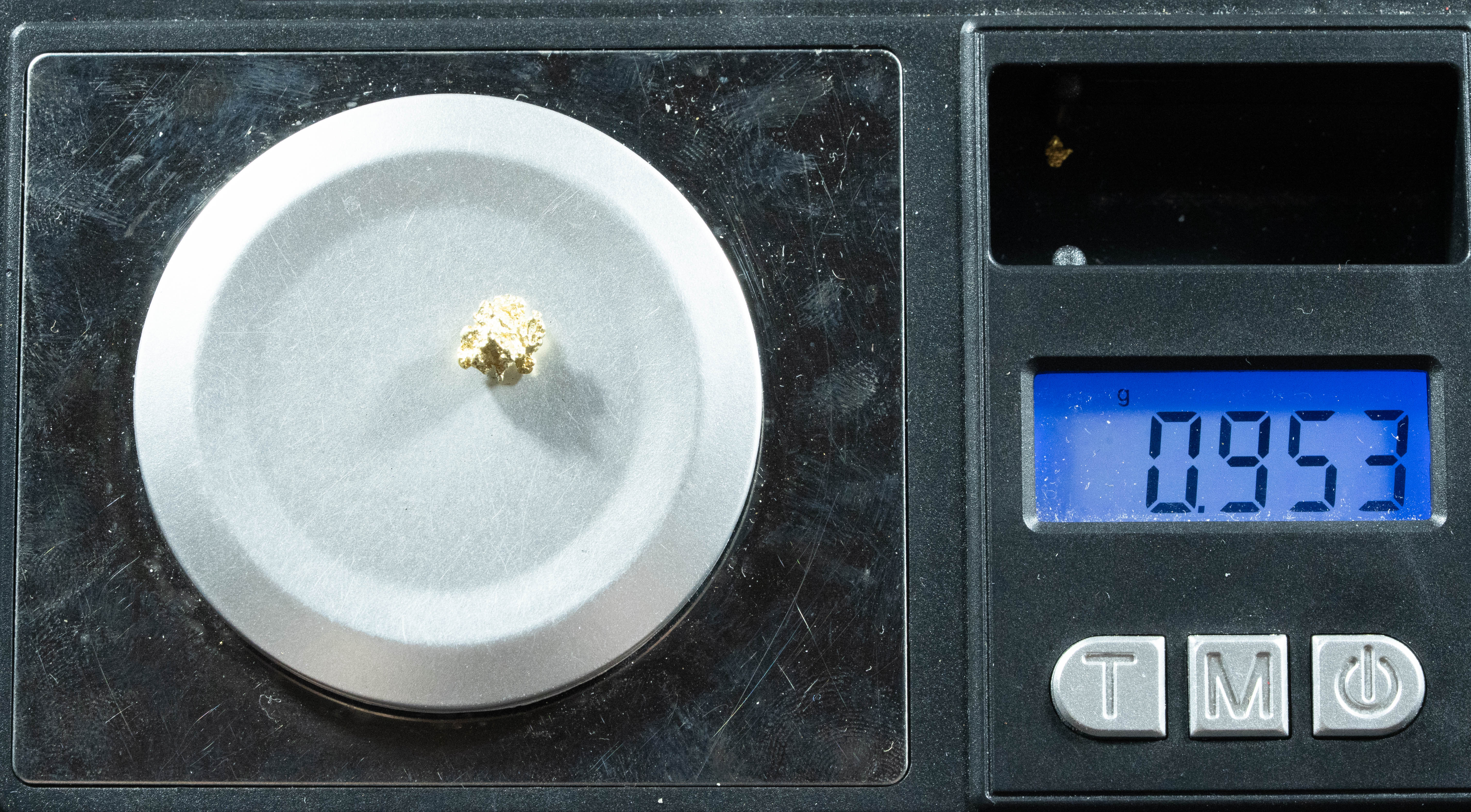 #13 Alaskan BC Natural Gold Nugget .953 Grams Genuine