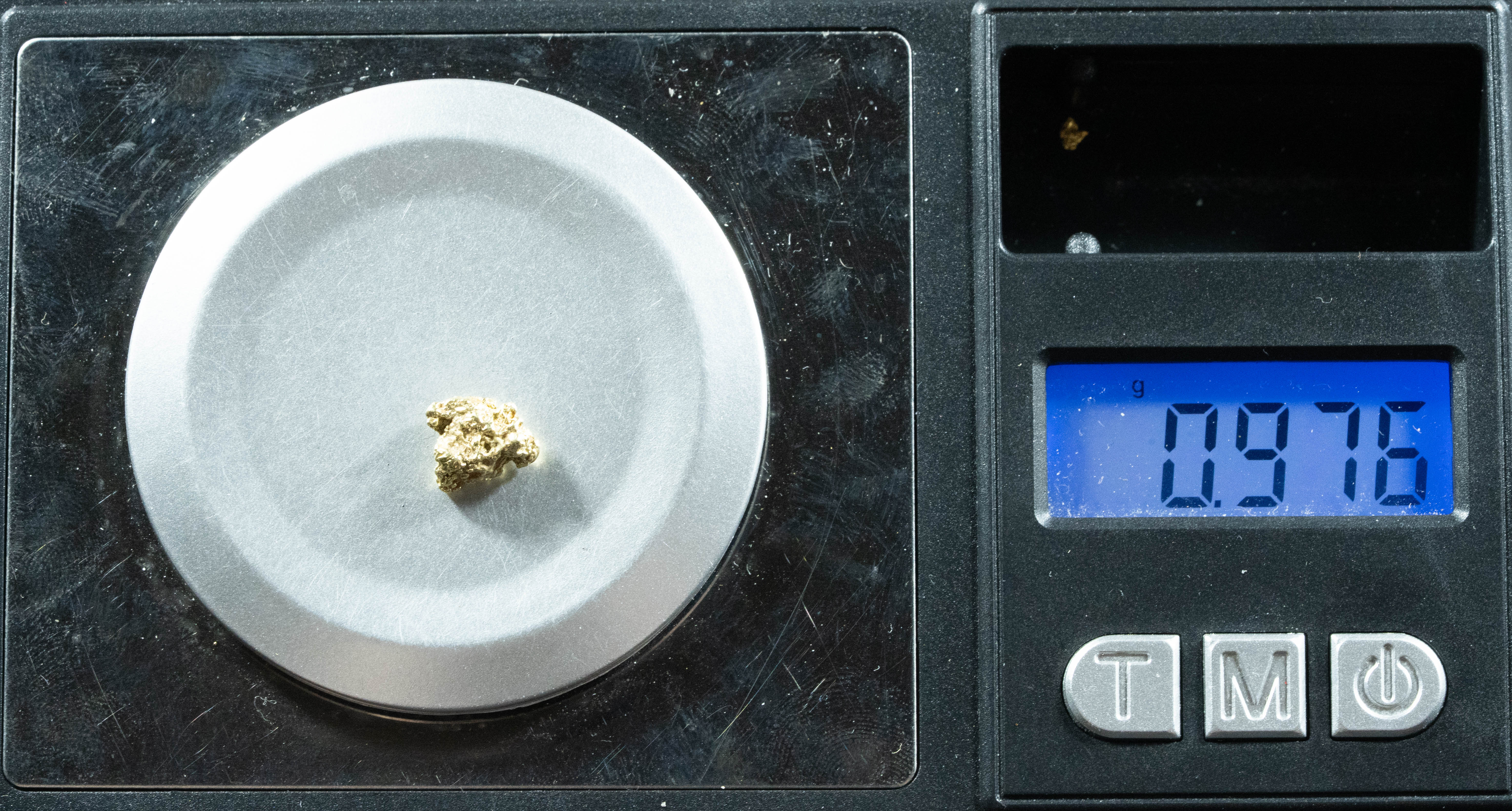 #16 Alaskan BC Natural Gold Nugget .978 Grams Genuine