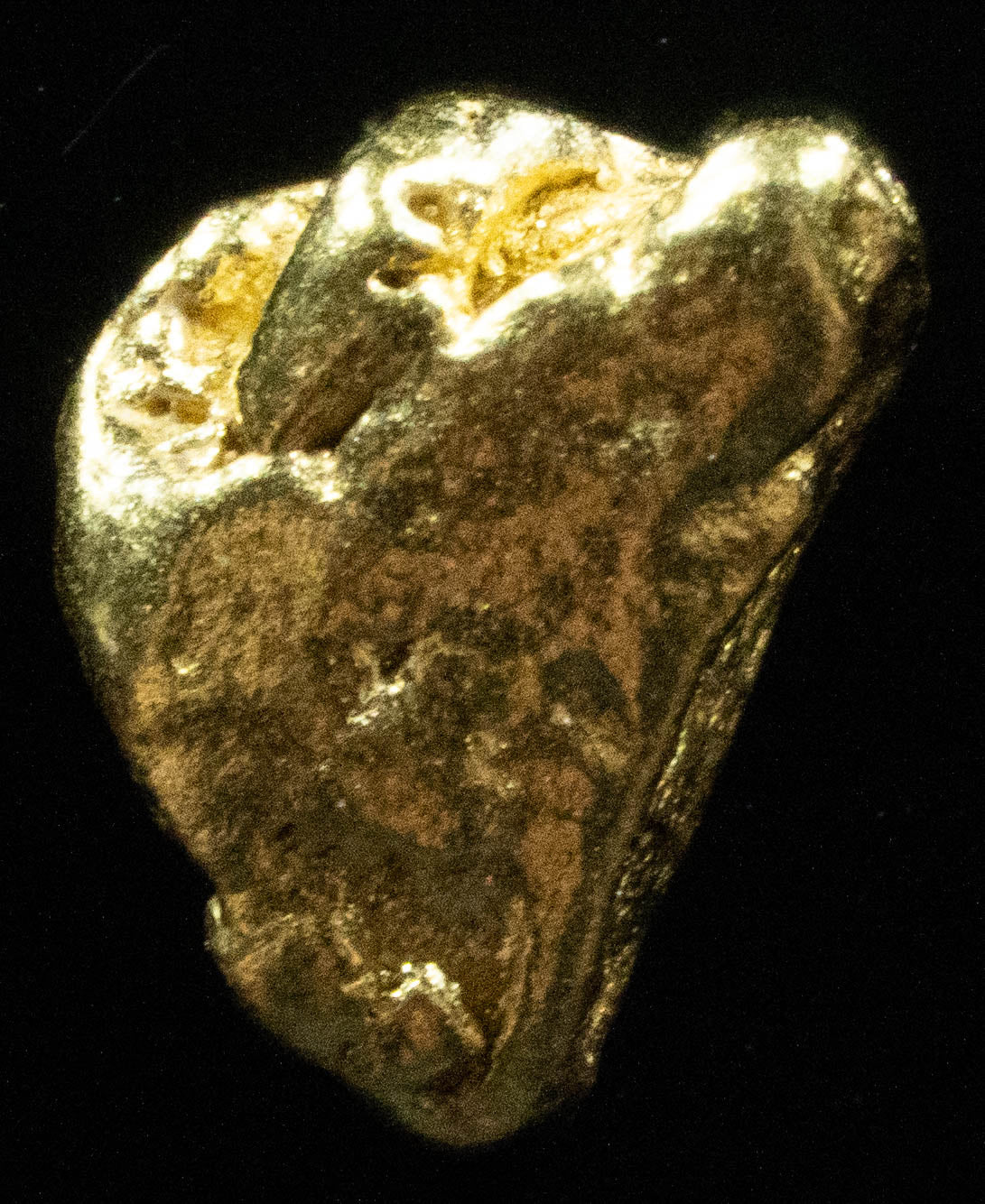 #25 Alaskan BC Natural Gold Nugget .77 Grams Genuine