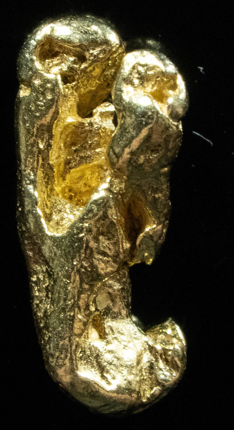 #36 Alaskan BC Natural Gold Nugget 1.11 Grams Genuine