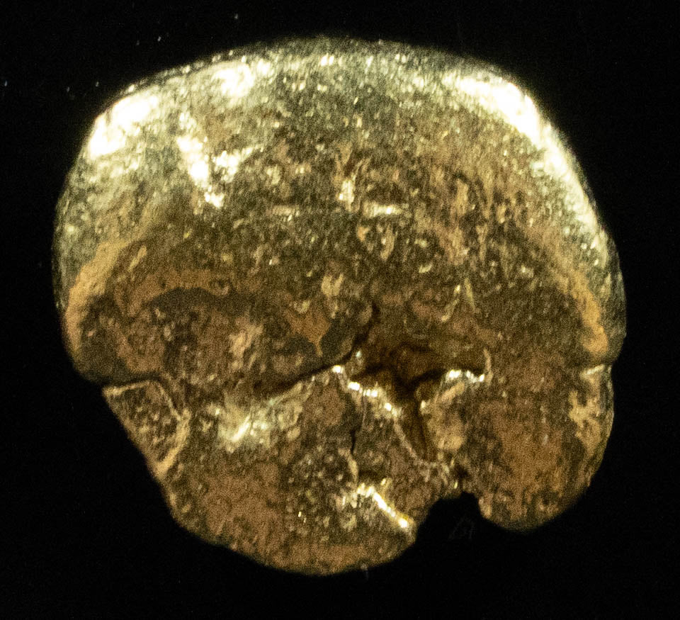 #37 Alaskan BC Natural Gold Nugget 1.14 Grams Genuine