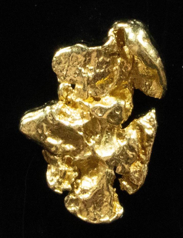 #38 Alaskan BC Natural Gold Nugget .45 Grams Genuine