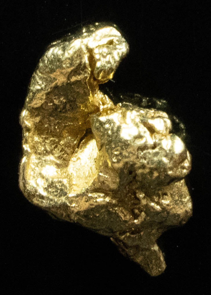 #42 Alaskan BC Natural Gold Nugget .74 Grams Genuine