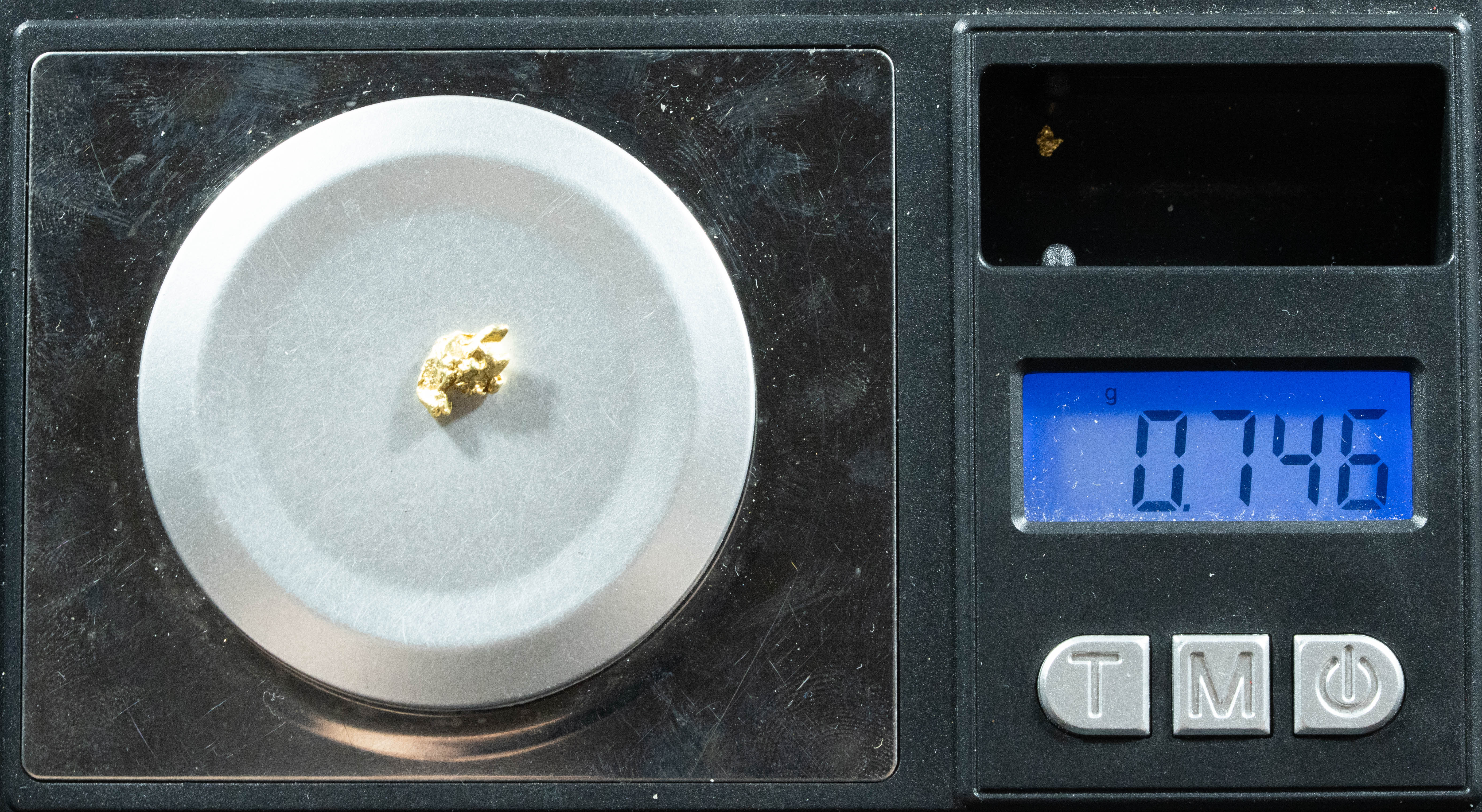 #42 Alaskan BC Natural Gold Nugget .74 Grams Genuine