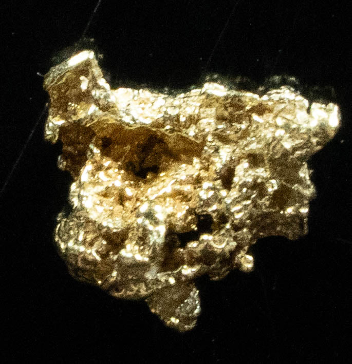 #47 Alaskan BC Natural Gold Nugget .34 Grams Genuine