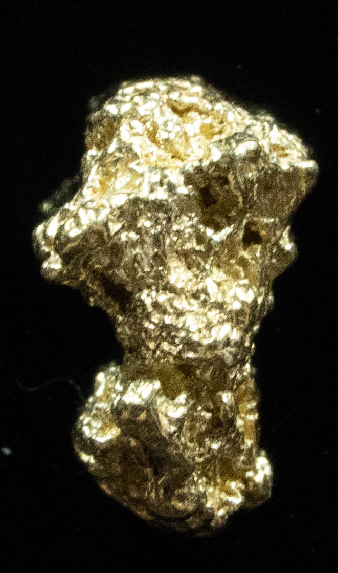 #48 Alaskan BC Natural Gold Nugget .62 Grams Genuine