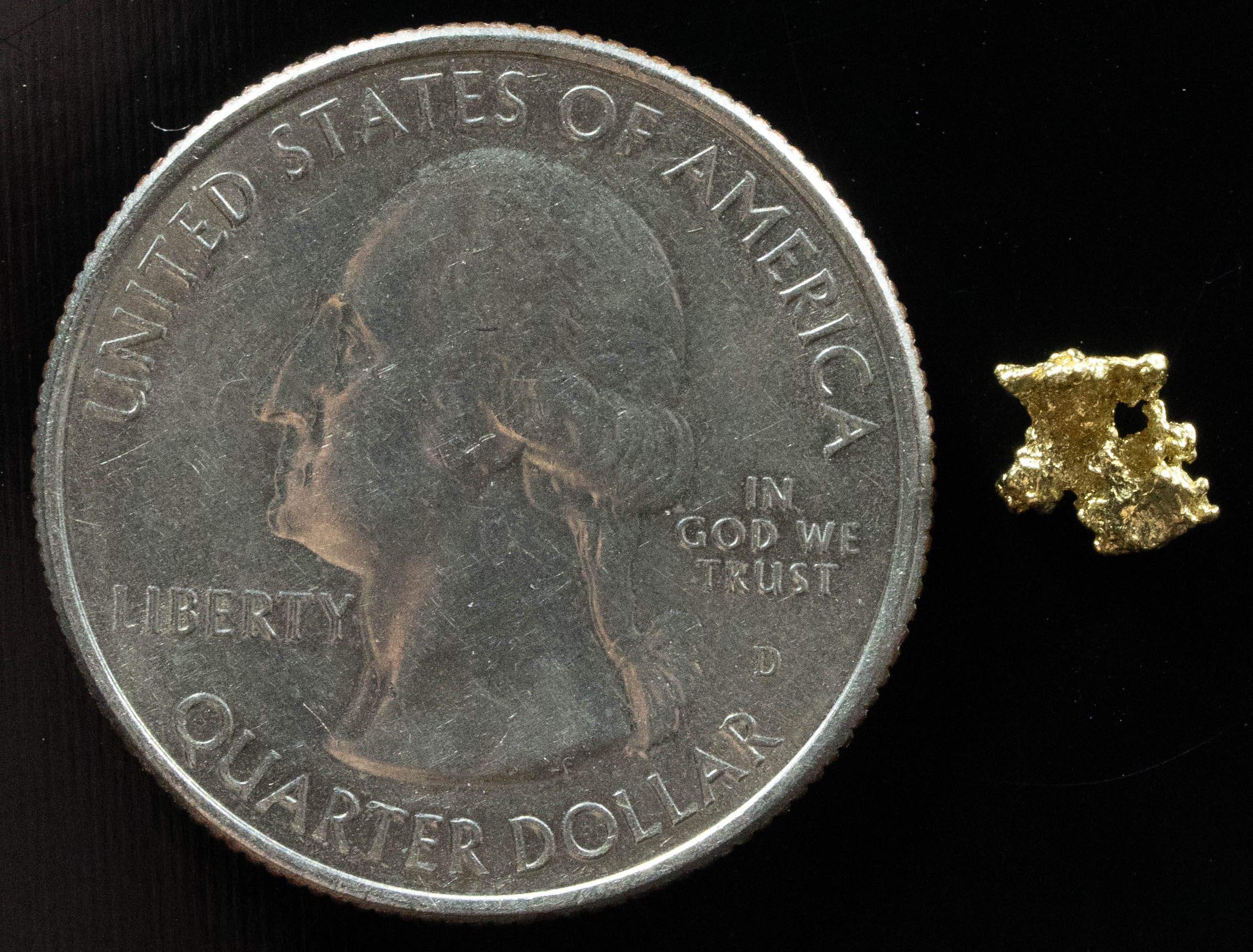 #49 Alaskan BC Natural Gold Nugget .30 Grams Genuine