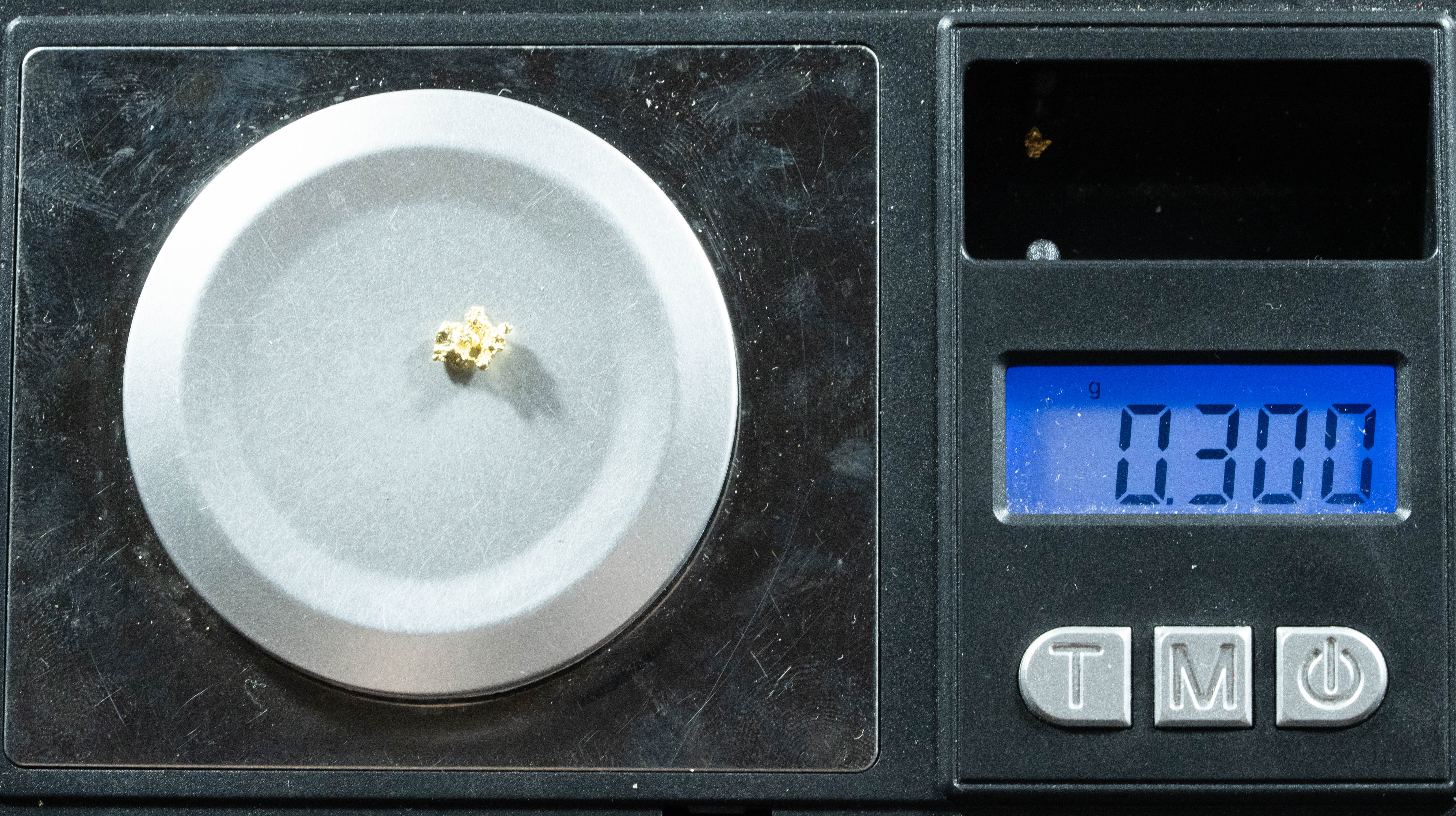 #49 Alaskan BC Natural Gold Nugget .30 Grams Genuine