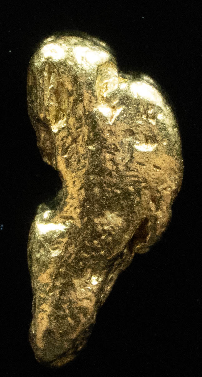 #52 Alaskan BC Natural Gold Nugget 1.58 Grams Genuine