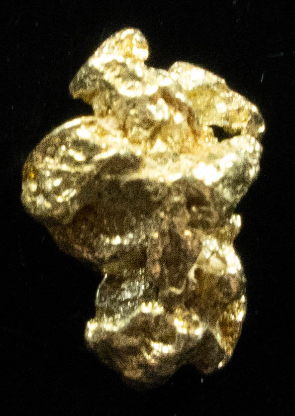#60 Alaskan BC Natural Gold Nugget .62 Grams Genuine