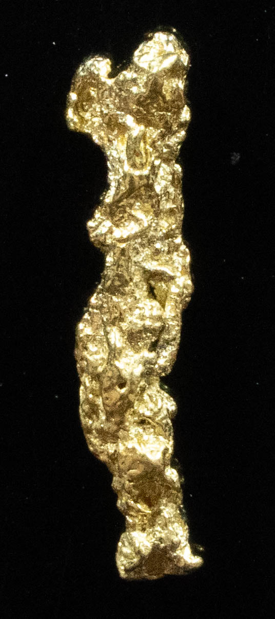 #62 Alaskan BC Natural Gold Nugget .36 Grams Genuine