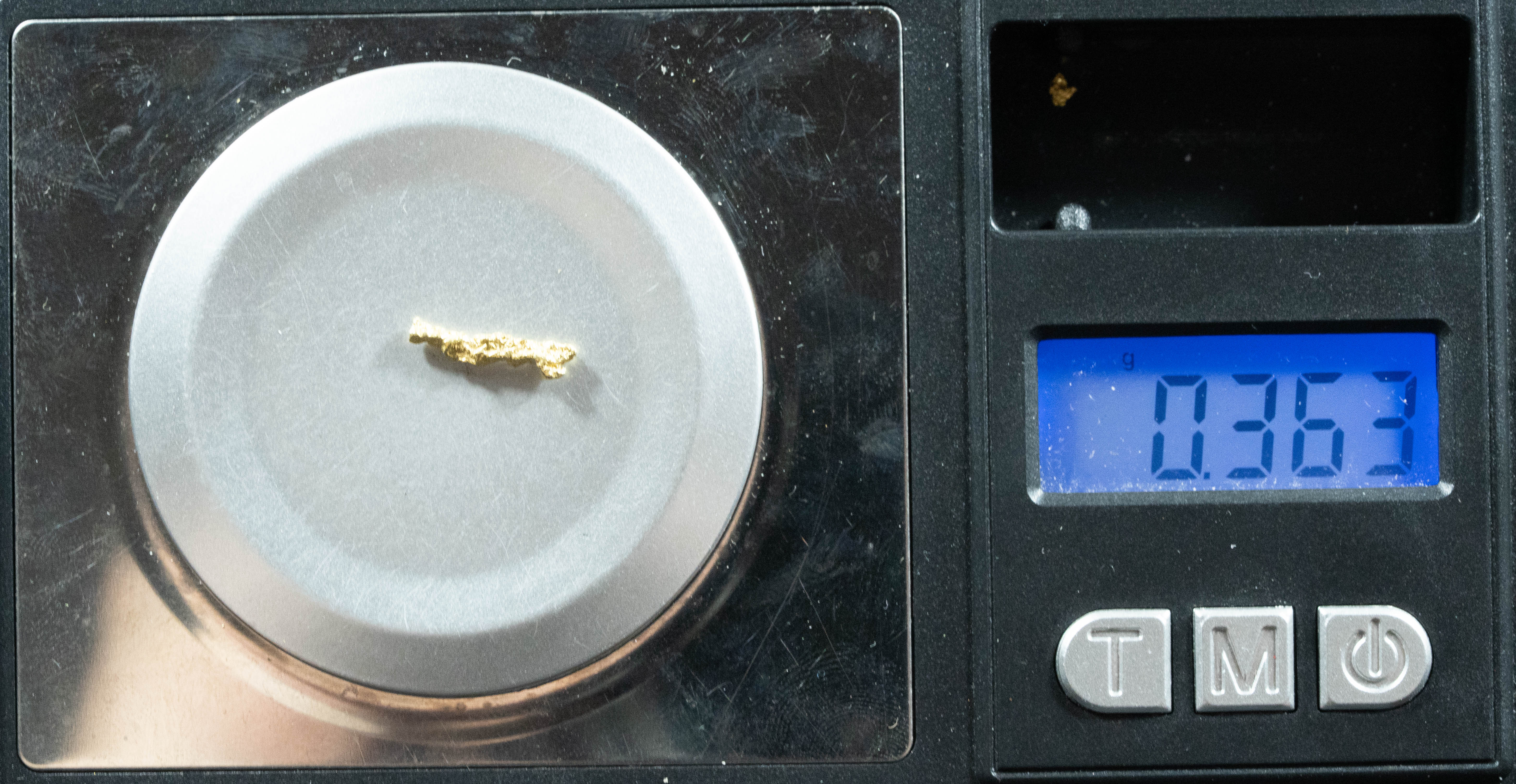 #62 Alaskan BC Natural Gold Nugget .36 Grams Genuine