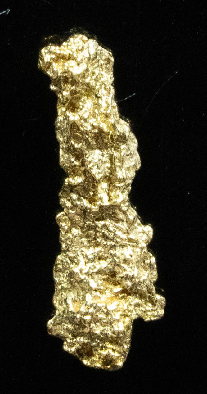 #68 Alaskan BC Natural Gold Nugget .40 Grams Genuine