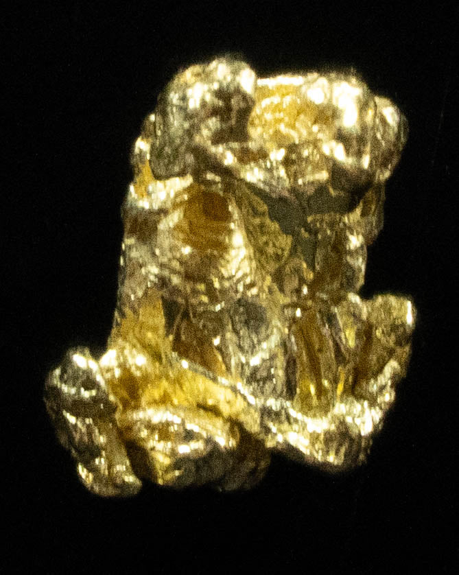 #69 Alaskan BC Natural Gold Nugget .42 Grams Genuine