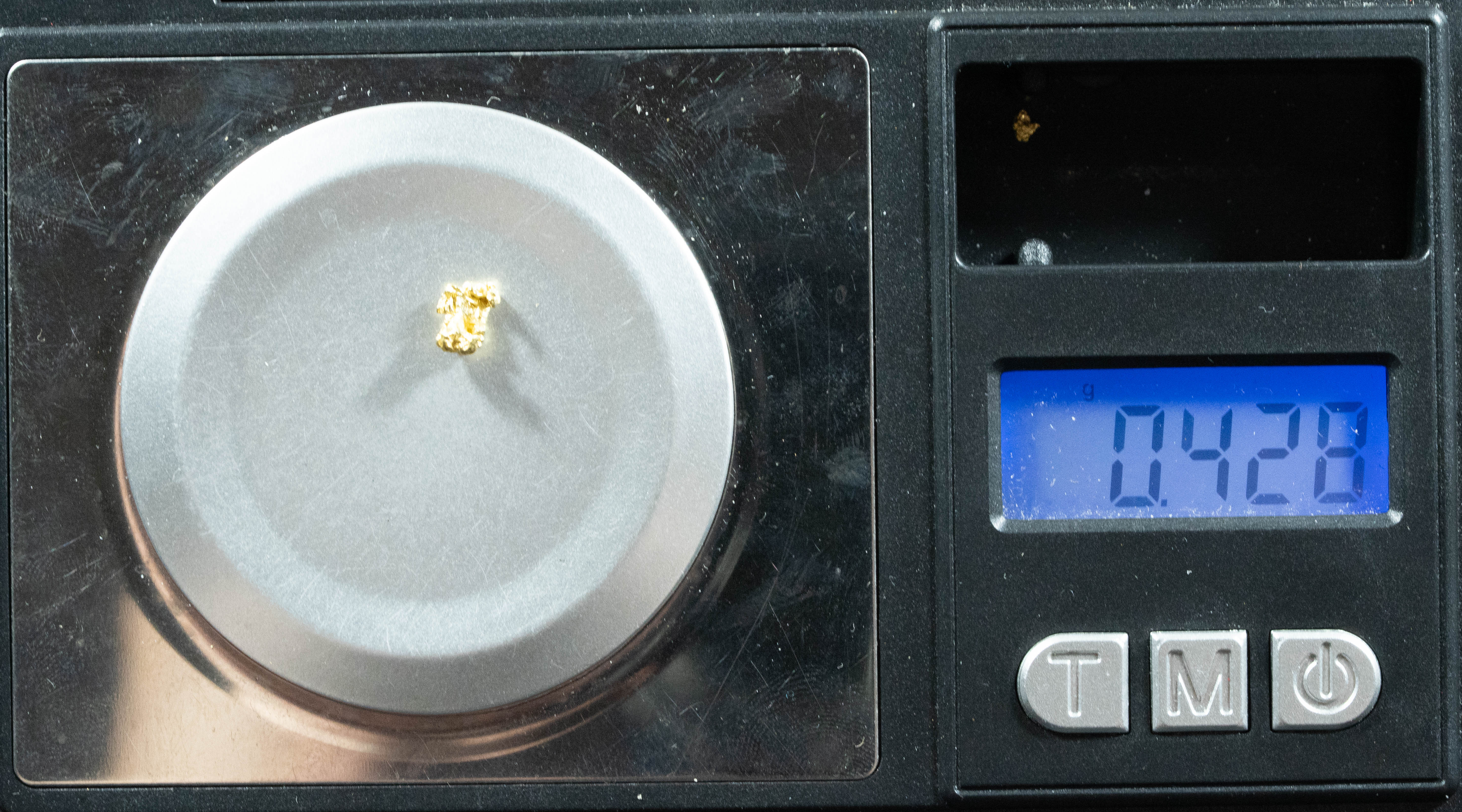 #69 Alaskan BC Natural Gold Nugget .42 Grams Genuine