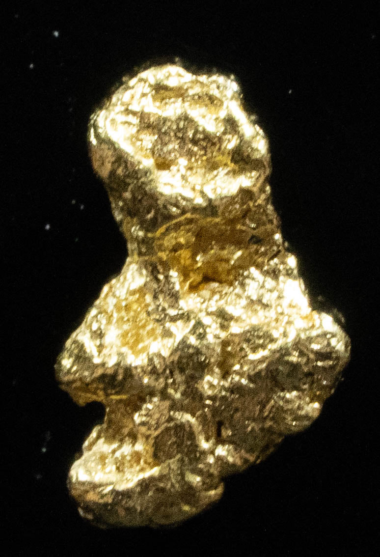 #70 Alaskan BC Natural Gold Nugget .88 Grams Genuine