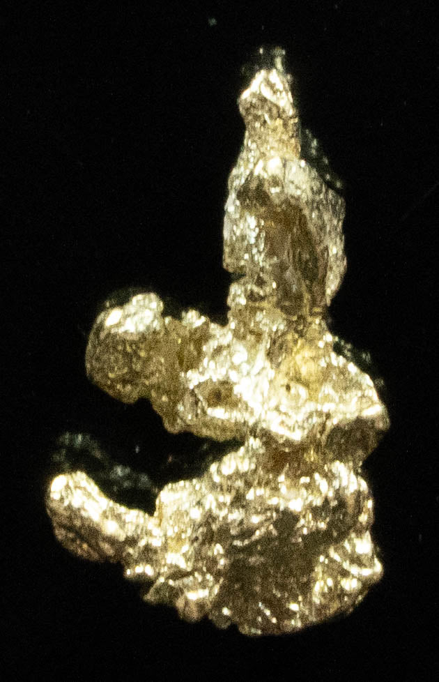 #73 Alaskan BC Natural Gold Nugget .36 Grams Genuine