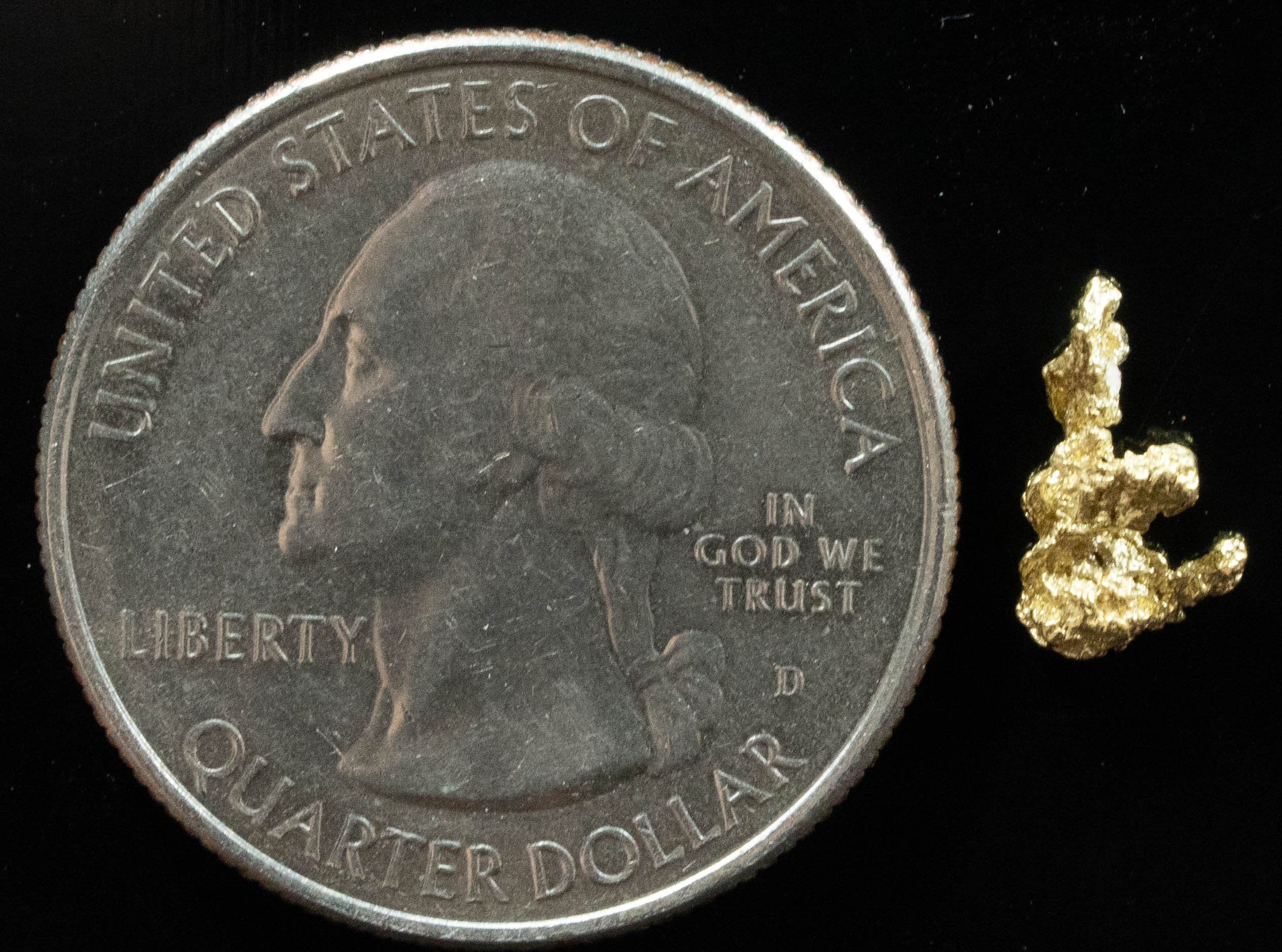 #73 Alaskan BC Natural Gold Nugget .36 Grams Genuine
