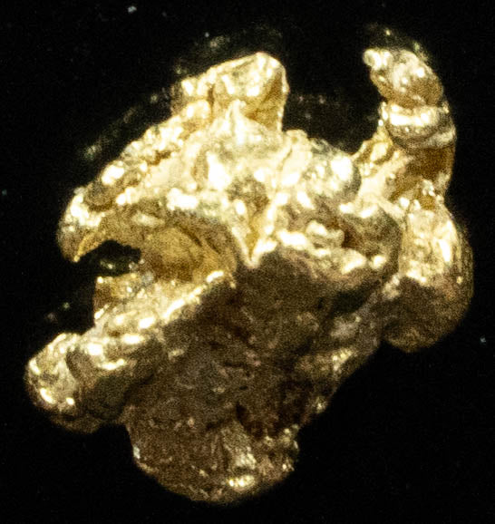 #74 Alaskan BC Natural Gold Nugget .37 Grams Genuine