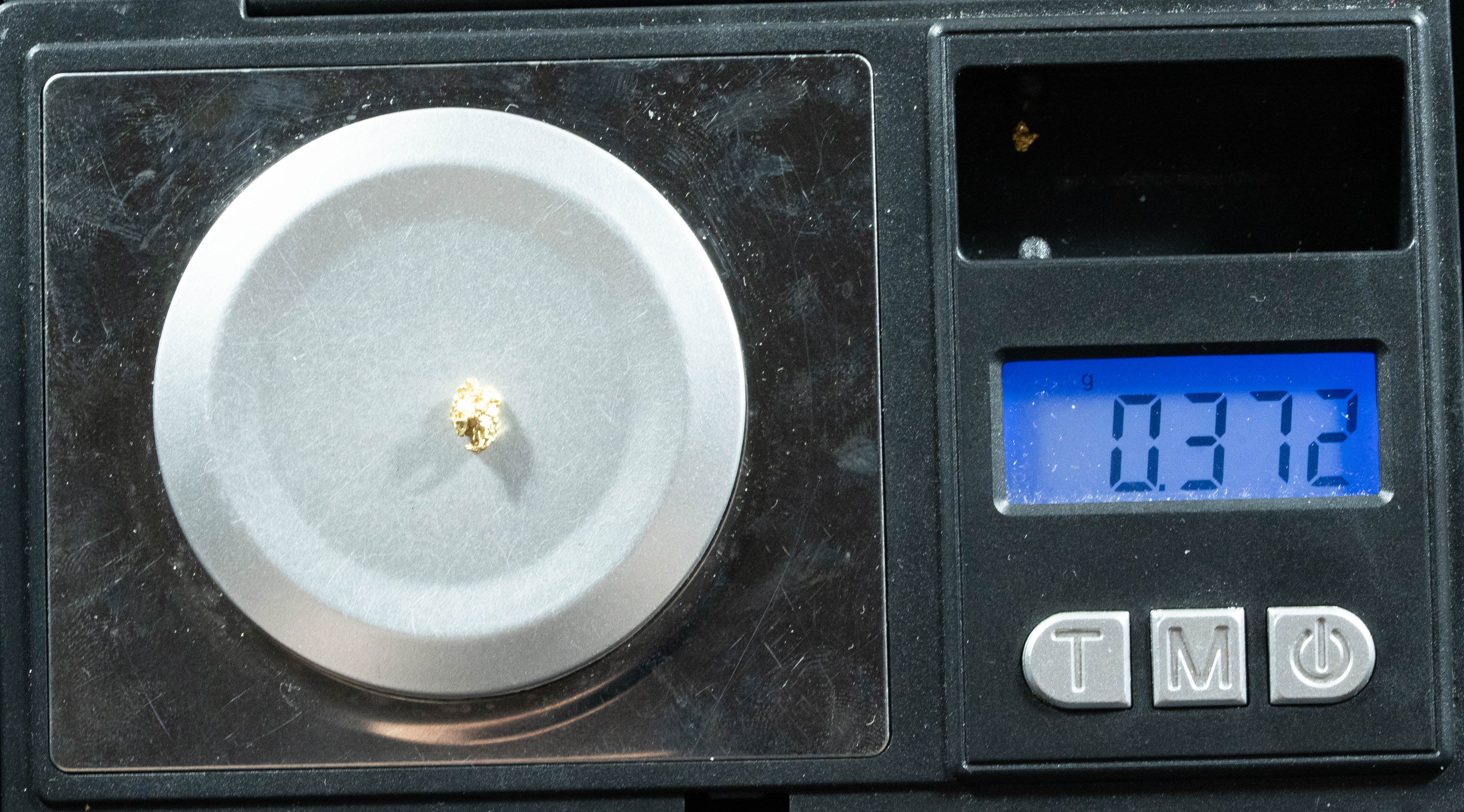 #74 Alaskan BC Natural Gold Nugget .37 Grams Genuine