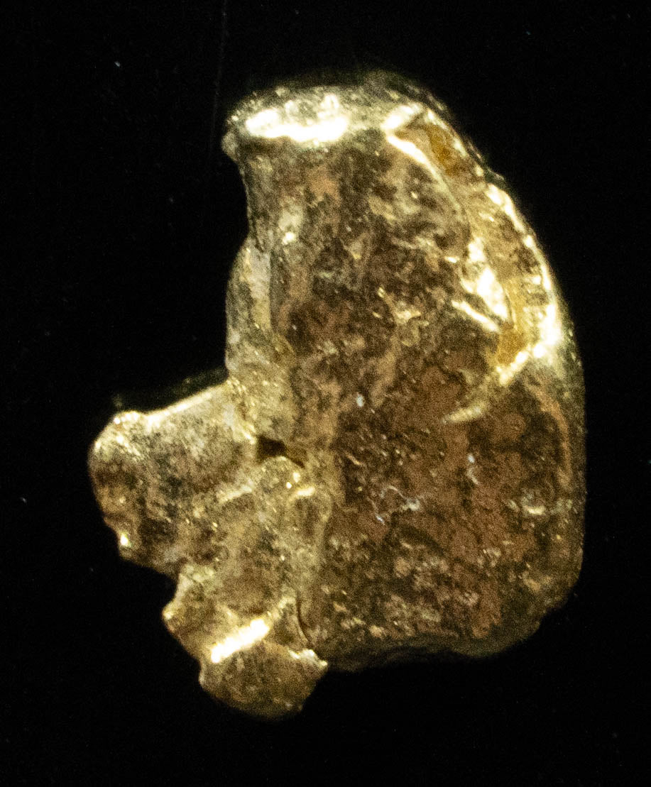 #83 Alaskan BC Natural Gold Nugget .49 Grams Genuine