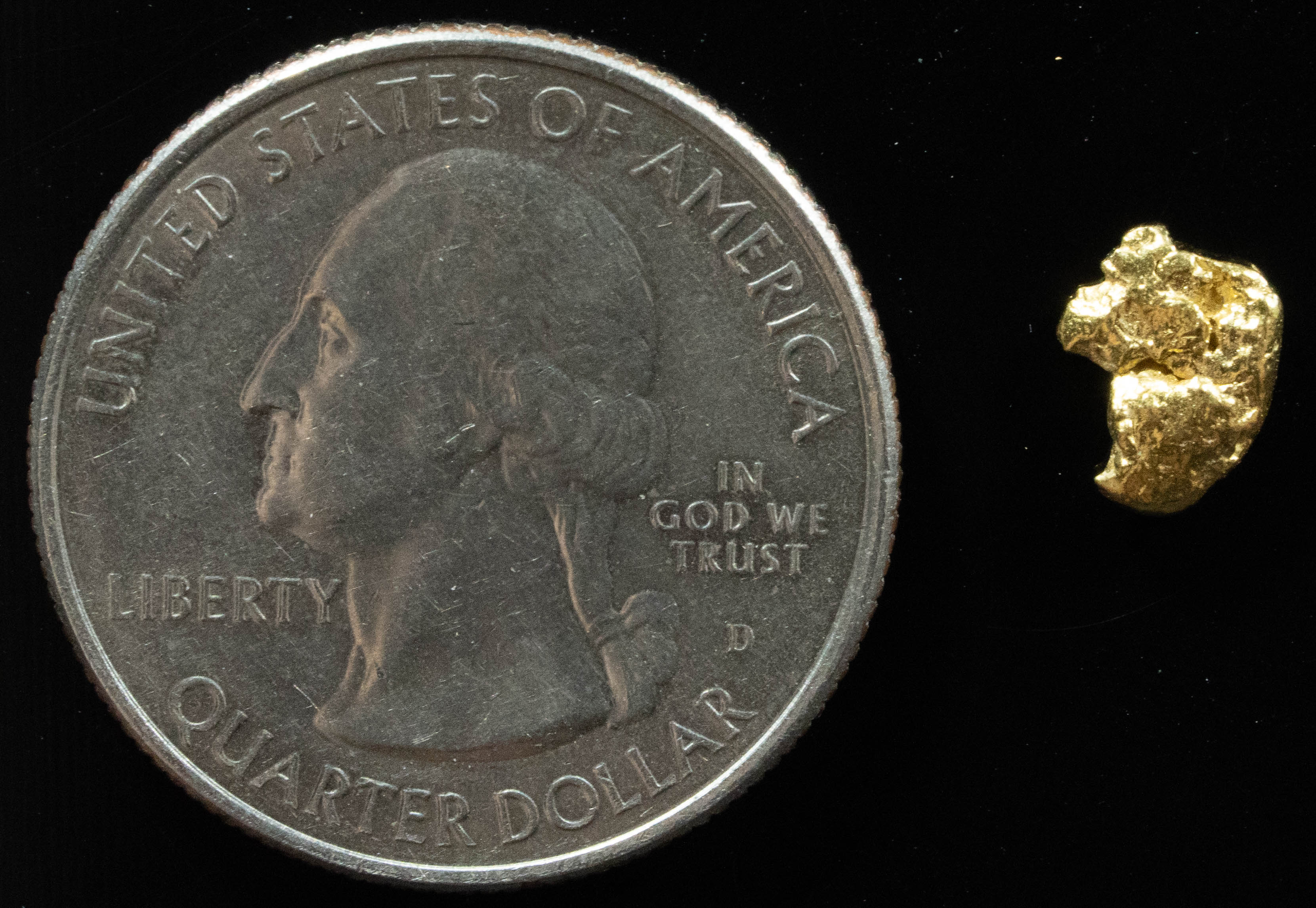 #83 Alaskan BC Natural Gold Nugget .49 Grams Genuine