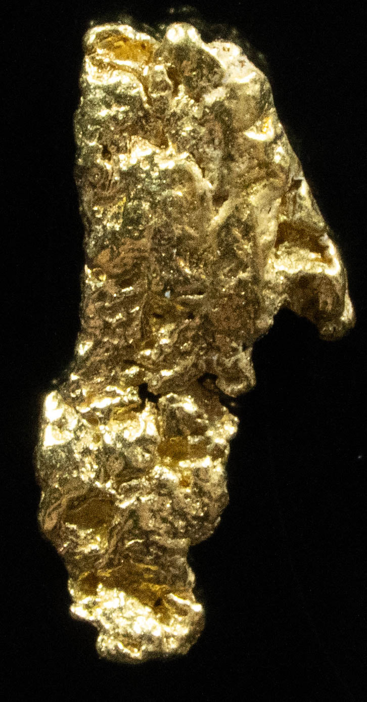#112 Alaskan BC Natural Gold Nugget .49 Grams Genuine