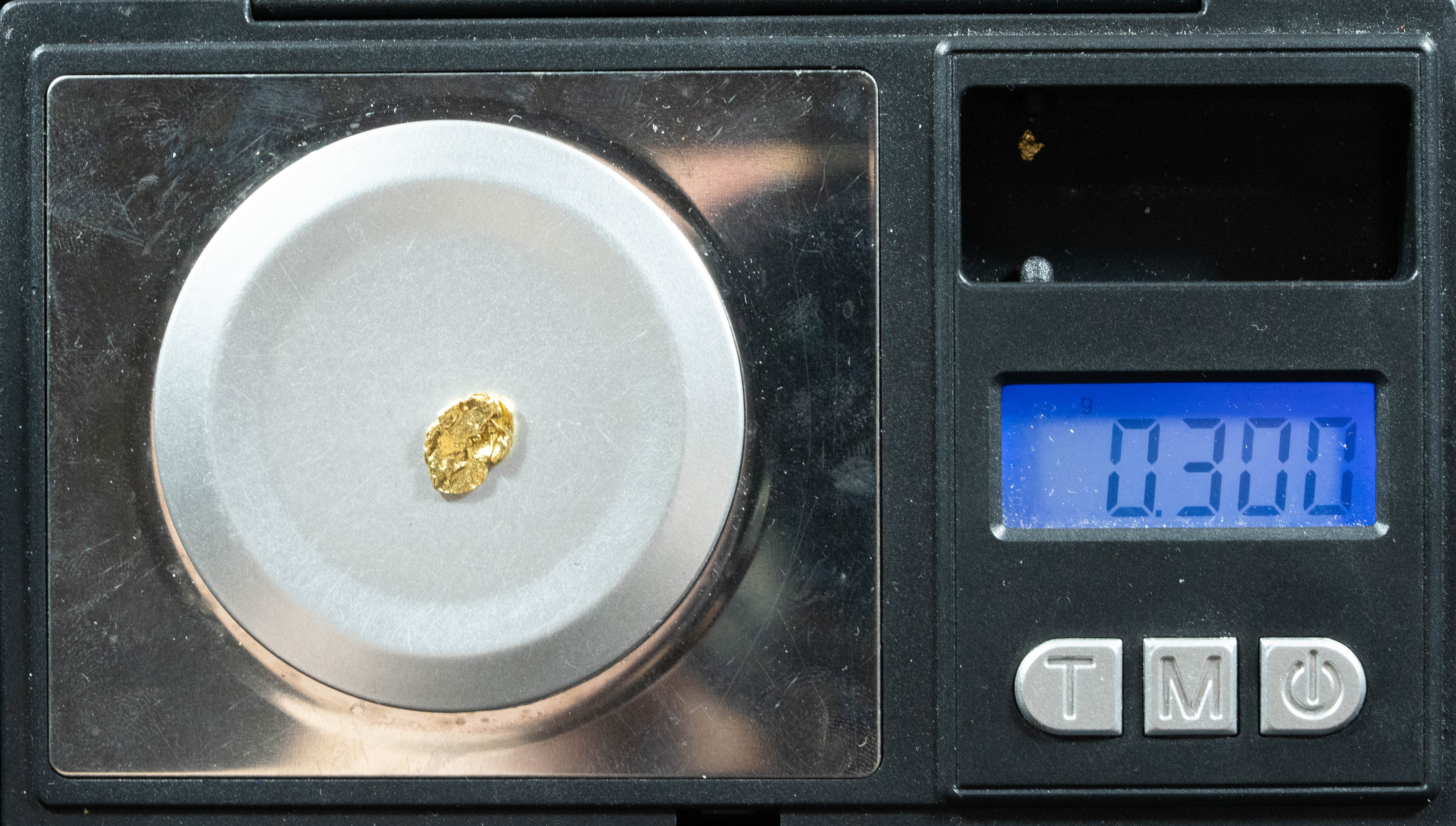 #113 Alaskan BC Natural Gold Nugget .30 Grams Genuine