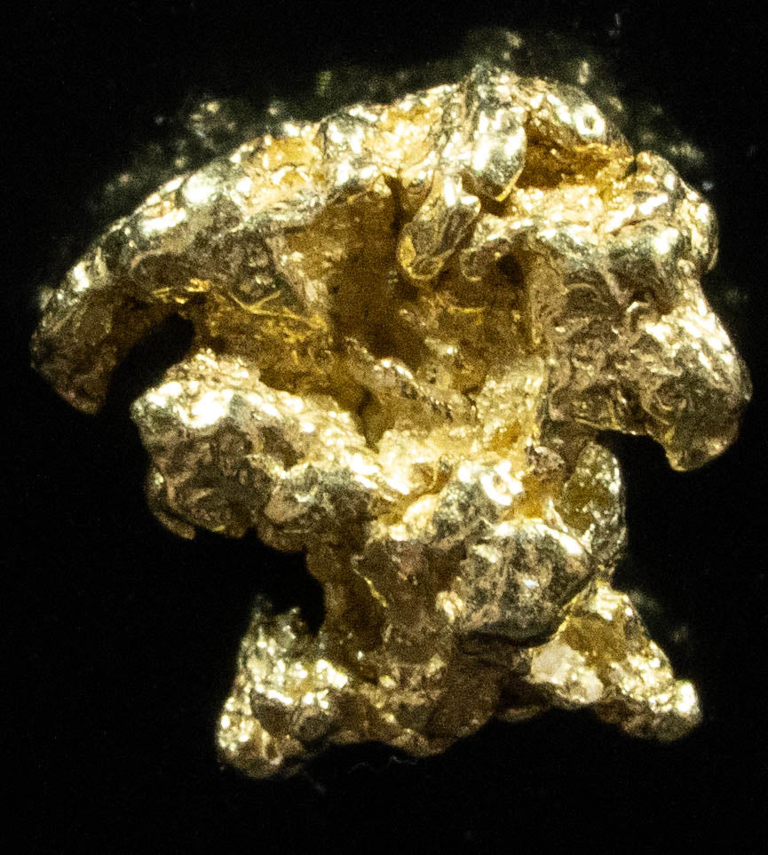 #114 Alaskan BC Natural Gold Nugget .76 Grams Genuine
