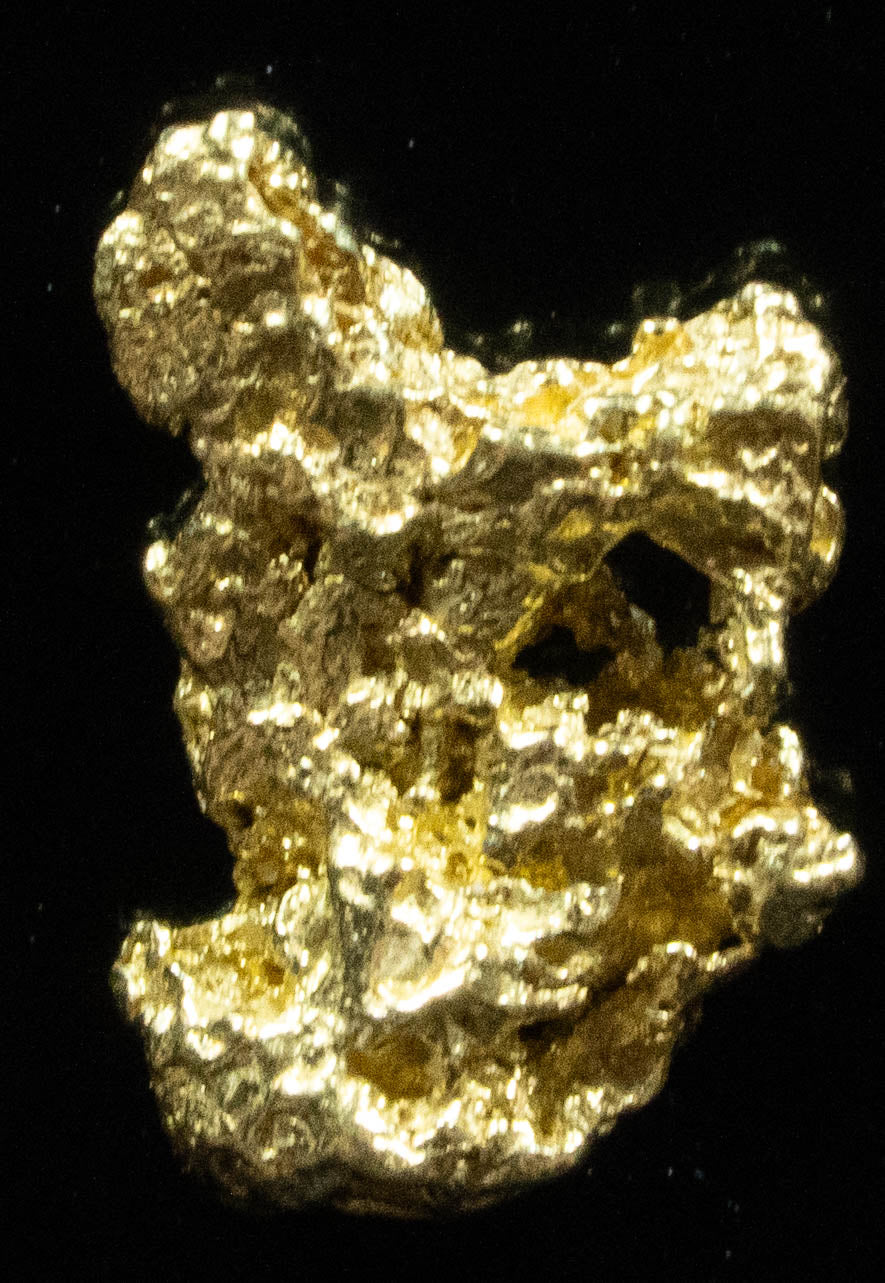 #118 Alaskan BC Natural Gold Nugget .47 Grams Genuine