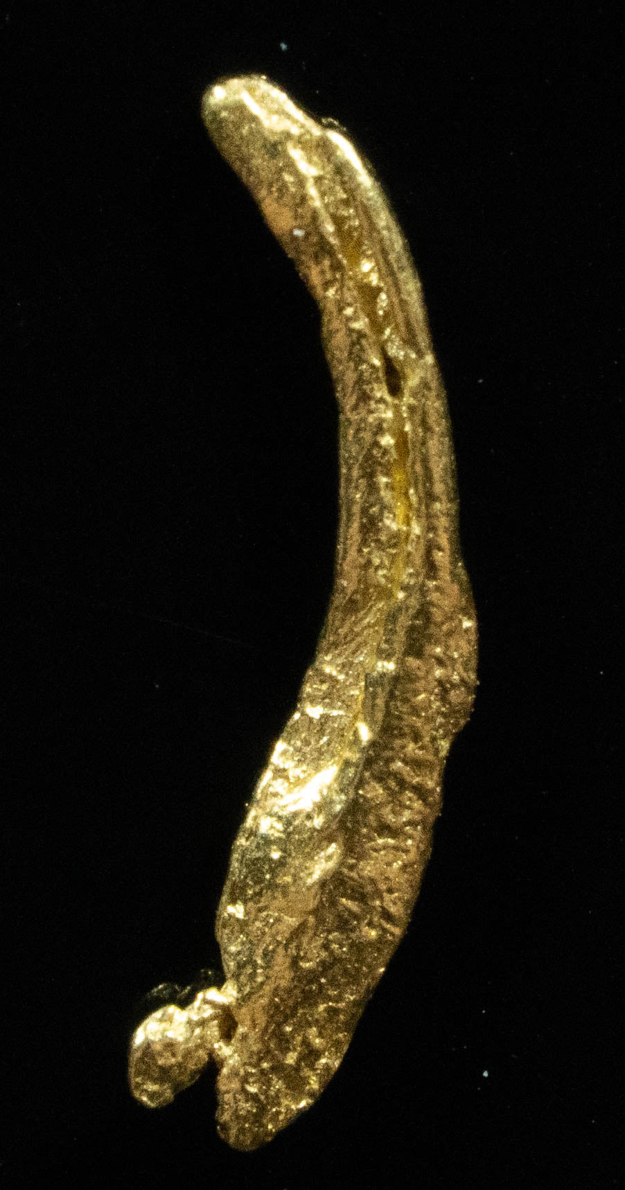 #129 Alaskan BC Natural Gold Nugget .248 Grams Genuine