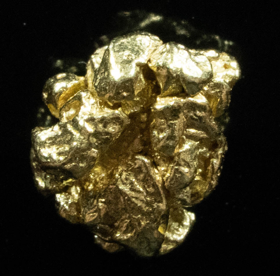 #130 Alaskan BC Natural Gold Nugget .829 Grams Genuine