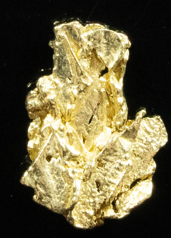#131 Alaskan BC Natural Gold Nugget .30 Grams Genuine